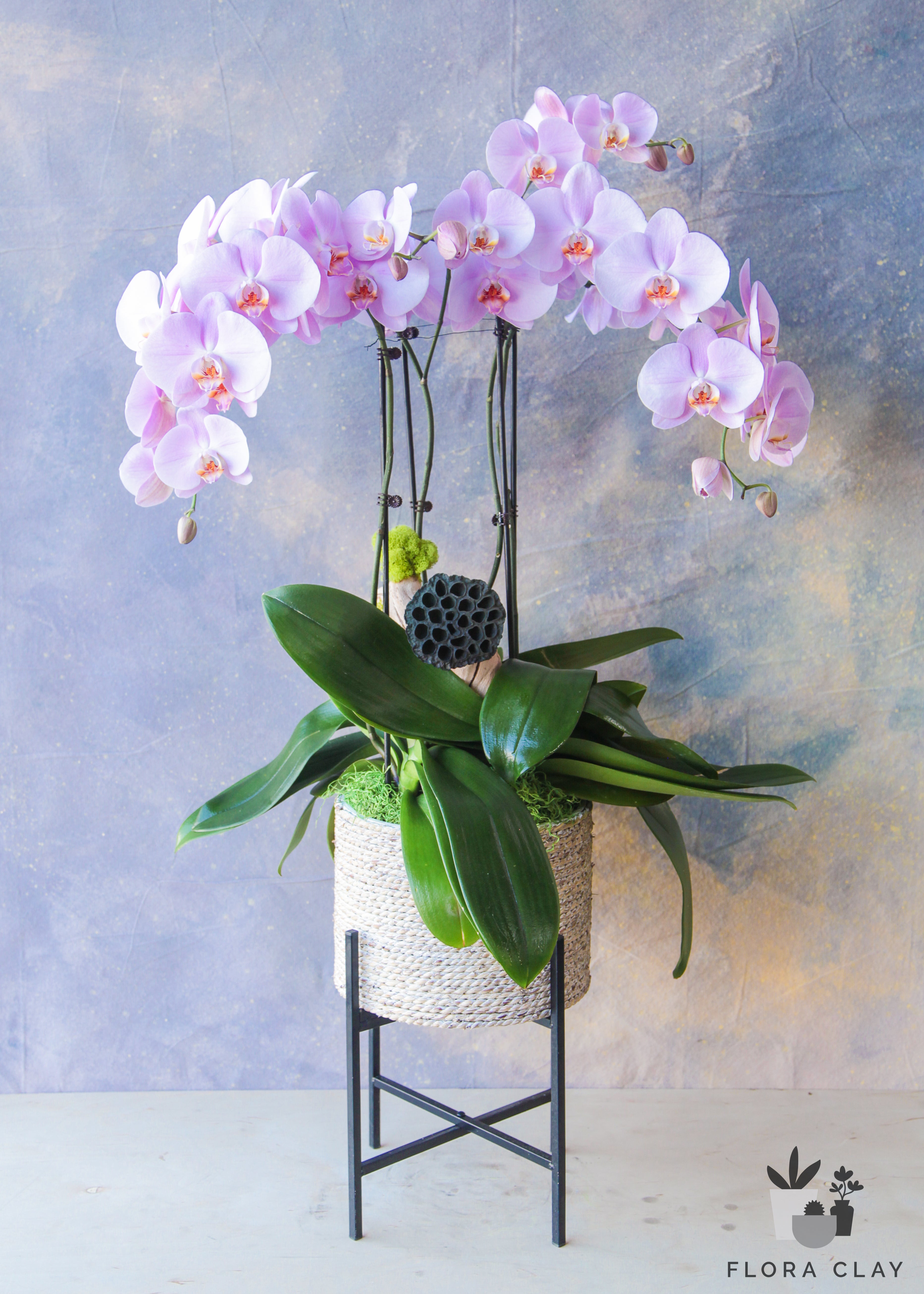 Blush Cascade Luxury Orchid Stand