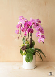A floral arrangement featuring pink orchids and green leaves in a white vase against a wooden background.