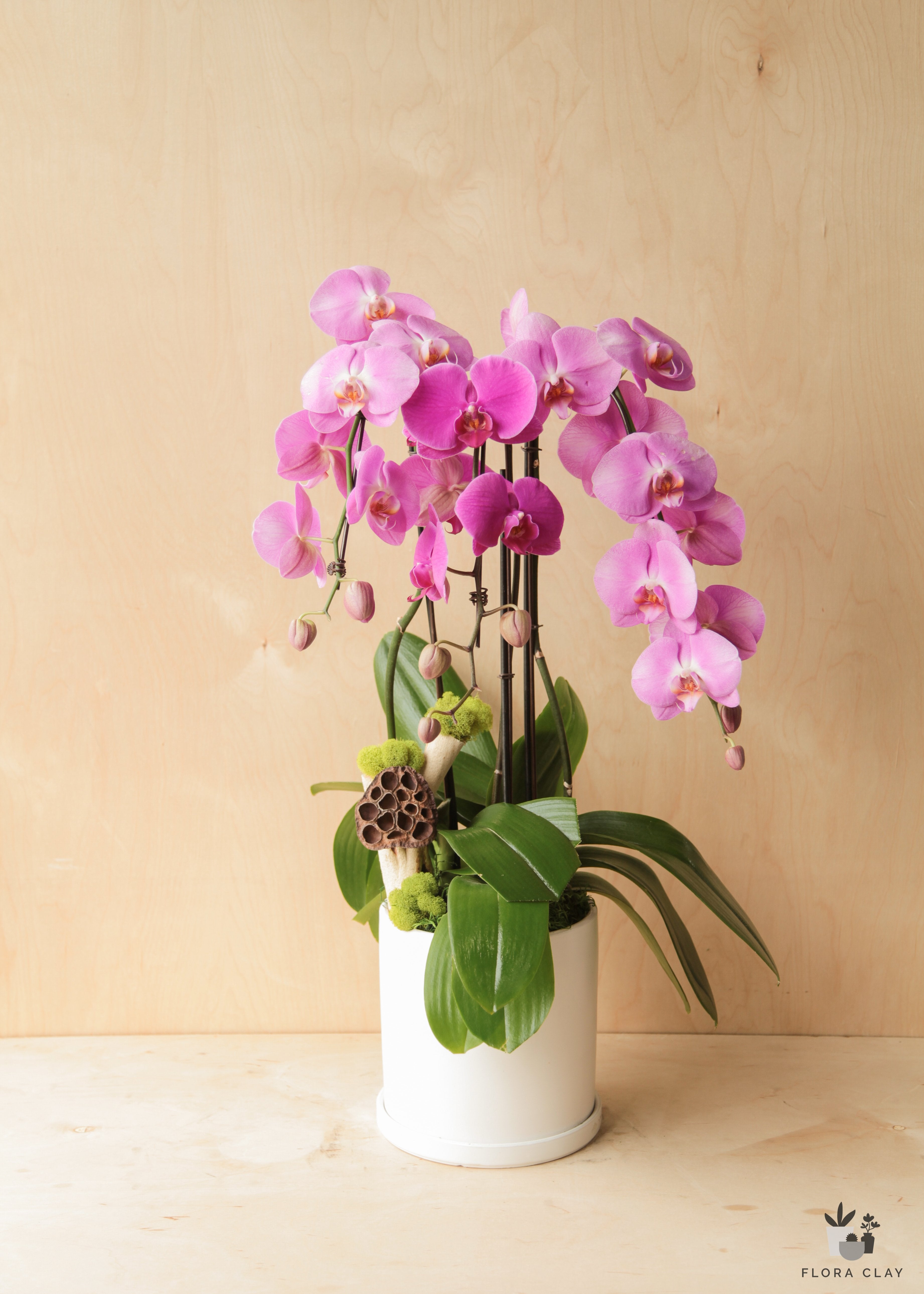 A floral arrangement featuring pink orchids and green leaves in a white vase against a wooden background.