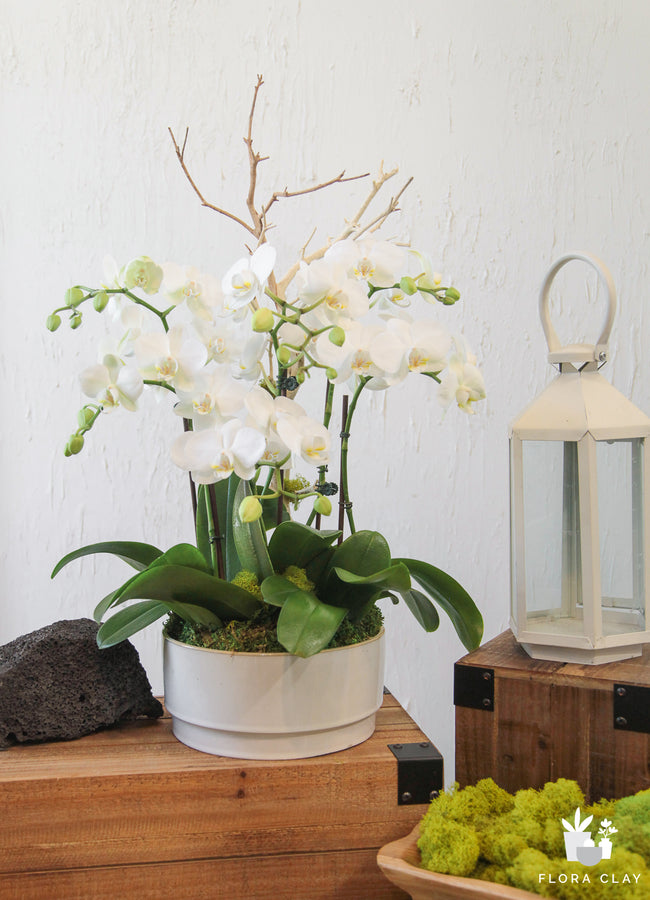 Carpe Diem white orchid arrangement by Flora Clay