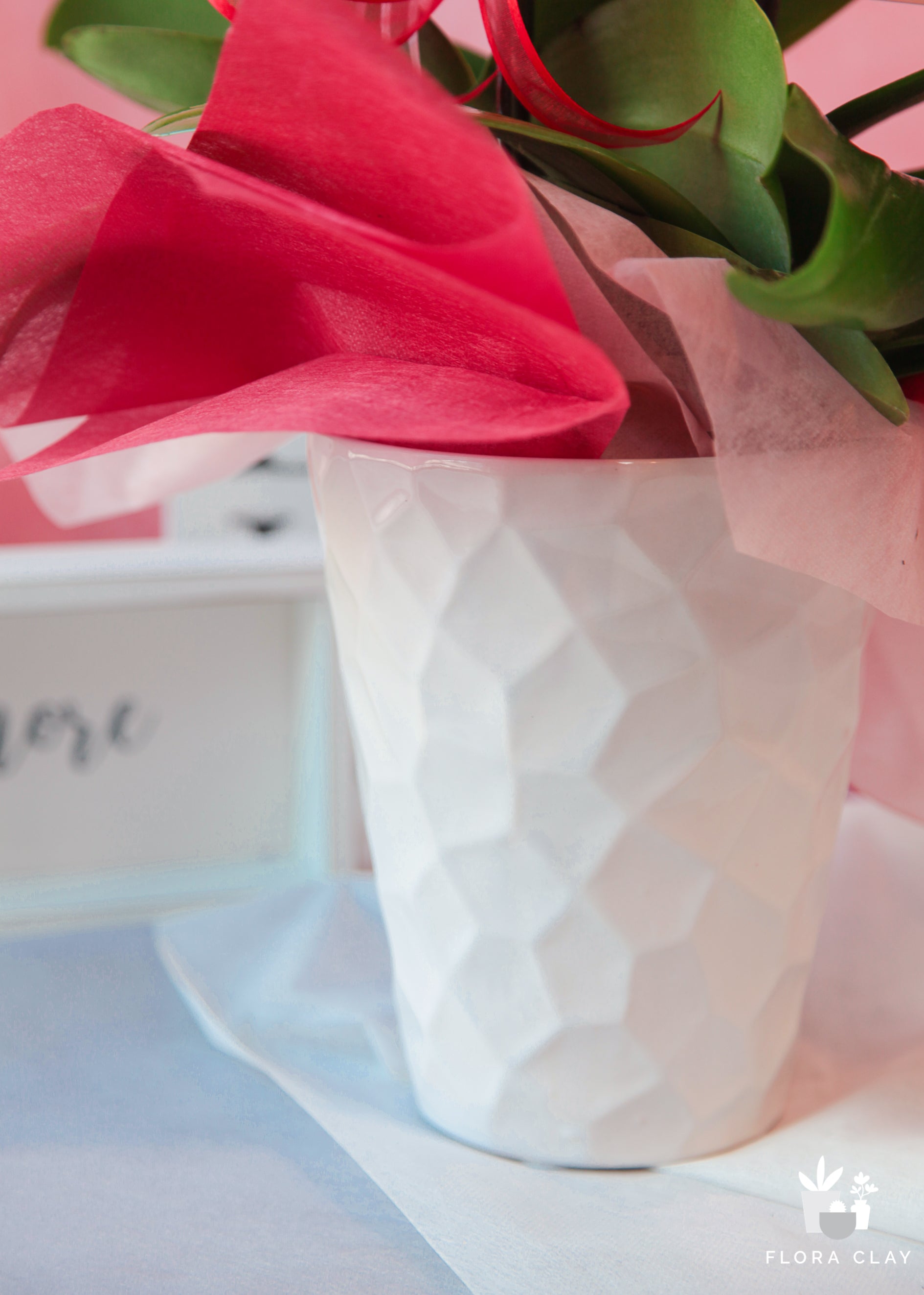 Cuteness Overload Pink Orchid Arrangement