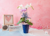 Cuteness Overload Pink Orchid Arrangement