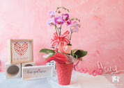 Cuteness Overload Pink Orchid Arrangement