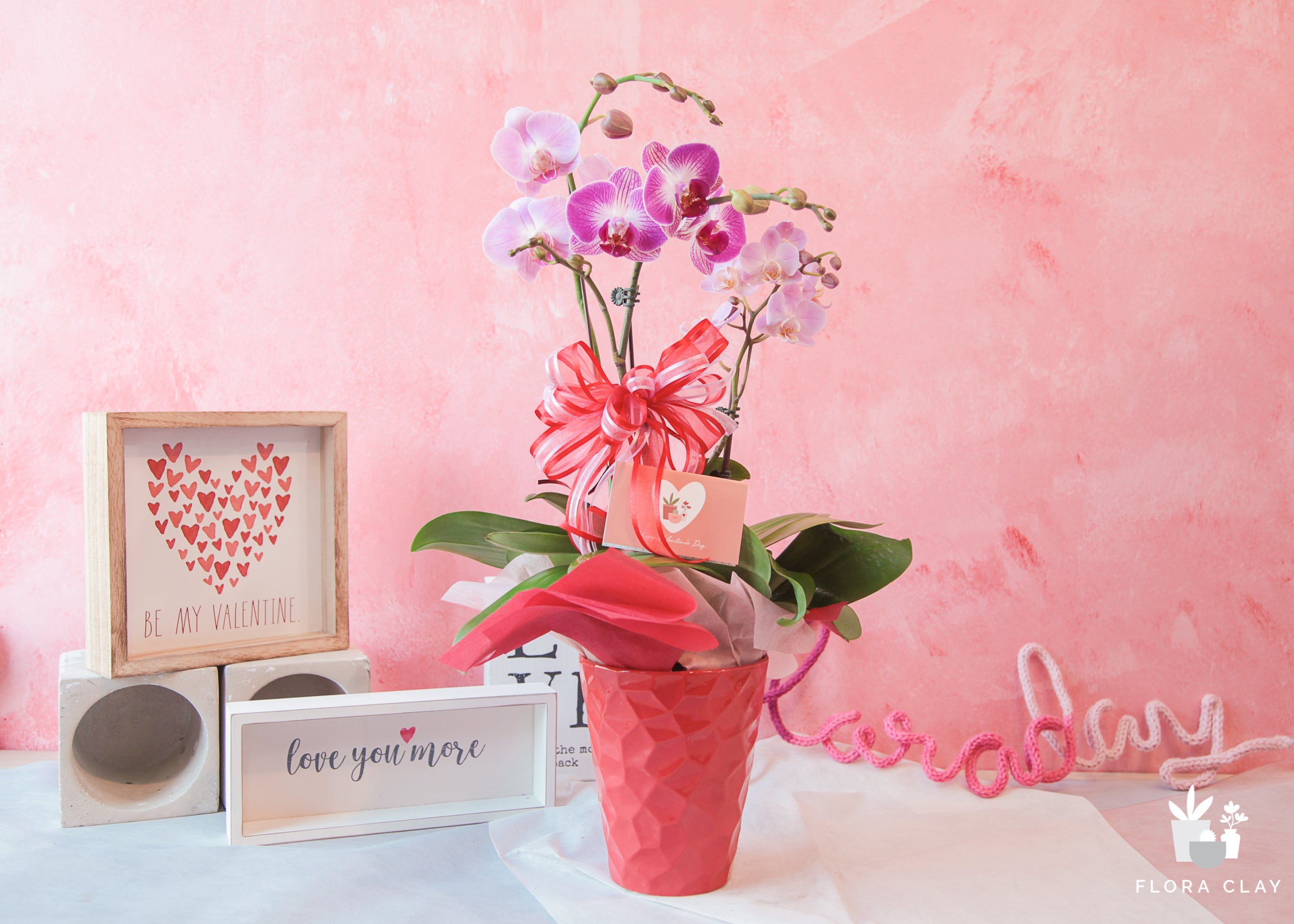 Cuteness Overload Pink Orchid Arrangement