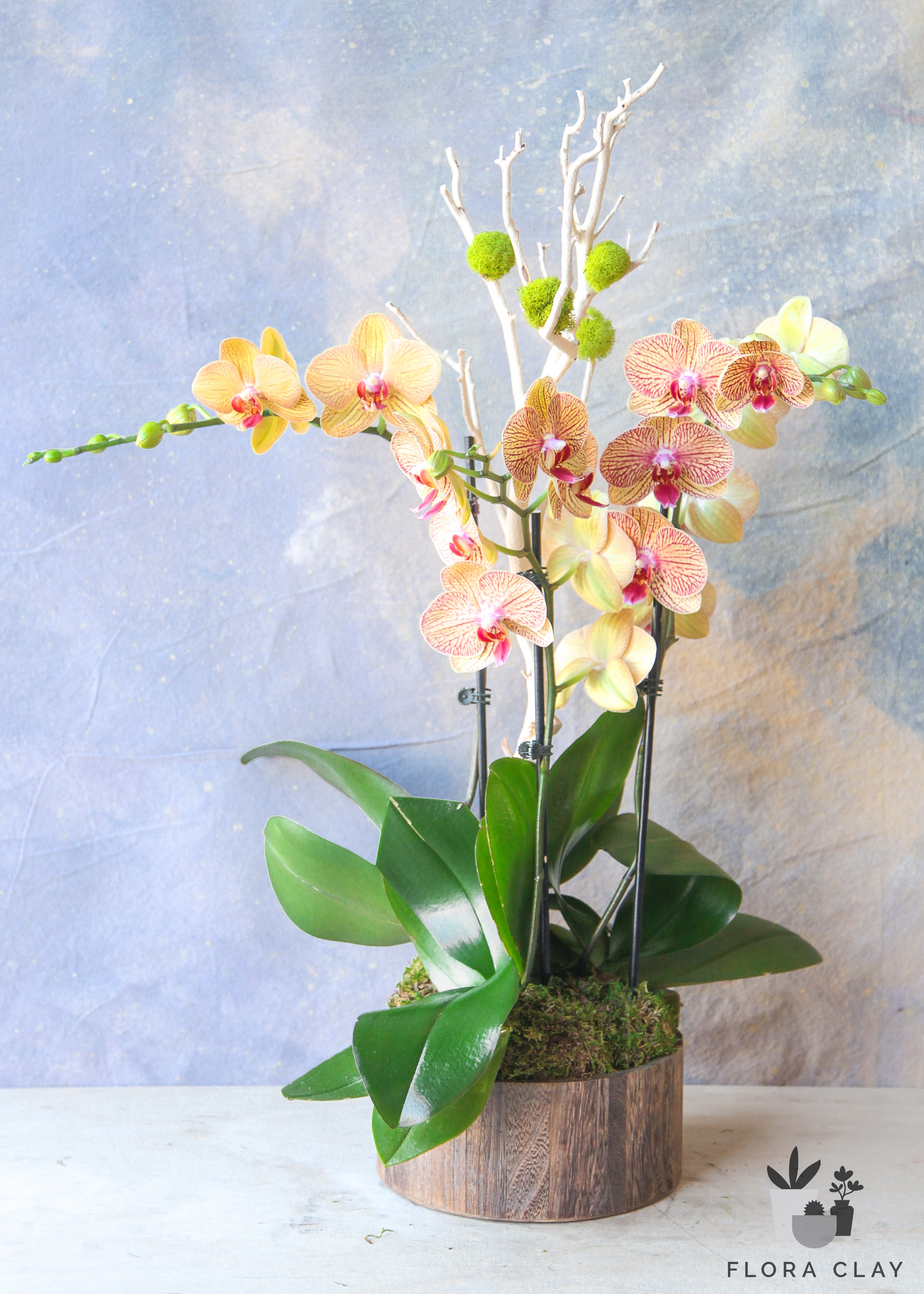 Flower-Barrel-Orchid-Arrangement-Floraclay1.jpg