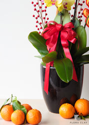 Golden Emperor Orchid Arrangement in a Black Pot