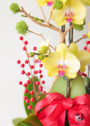 Golden Emperor Orchid Arrangement in a Black Pot