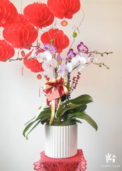Good Year Orchid Arrangement in a White Pot