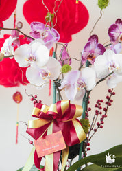 Good Year Orchid Arrangement in a White Pot