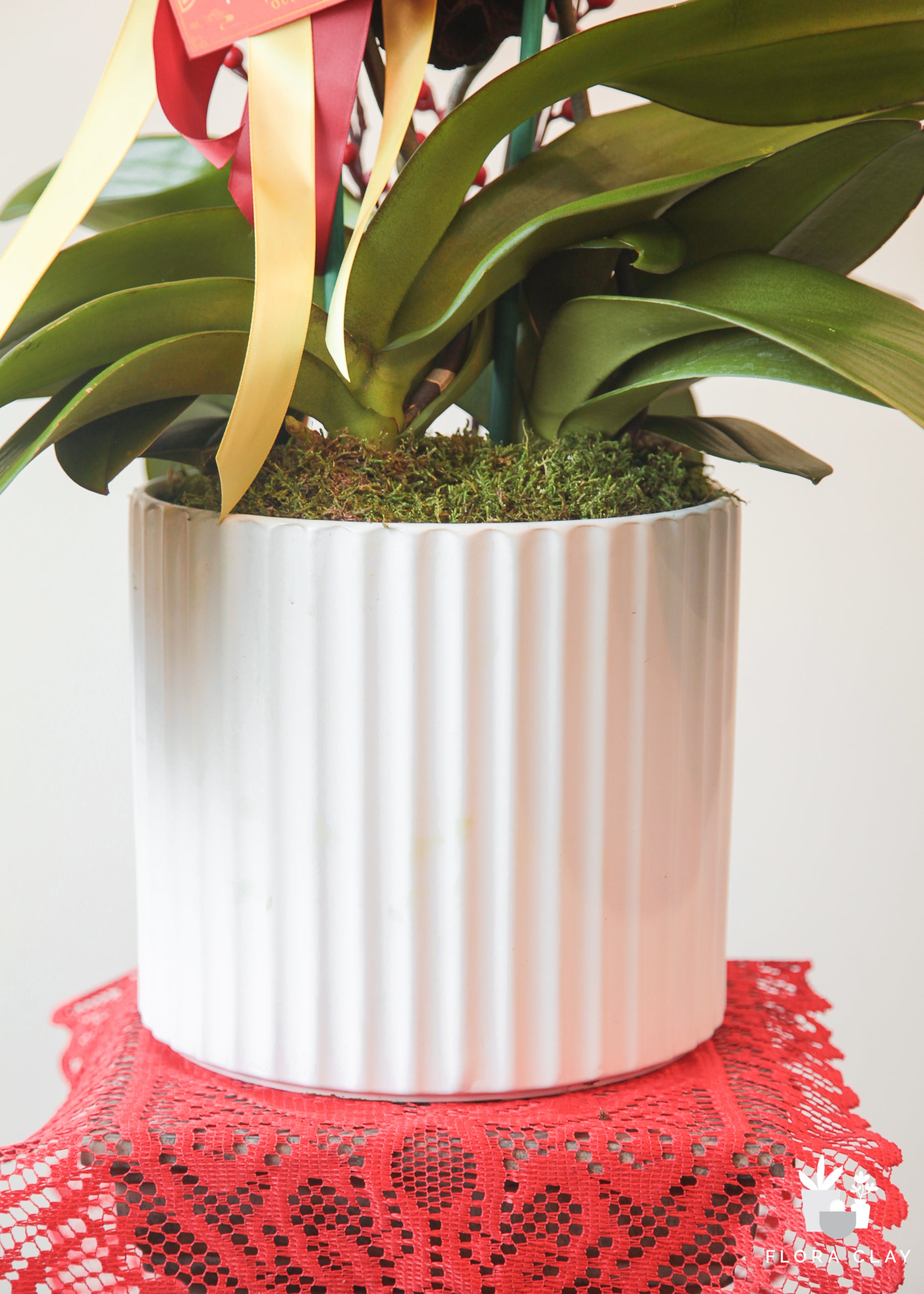 Good Year Orchid Arrangement in a White Pot