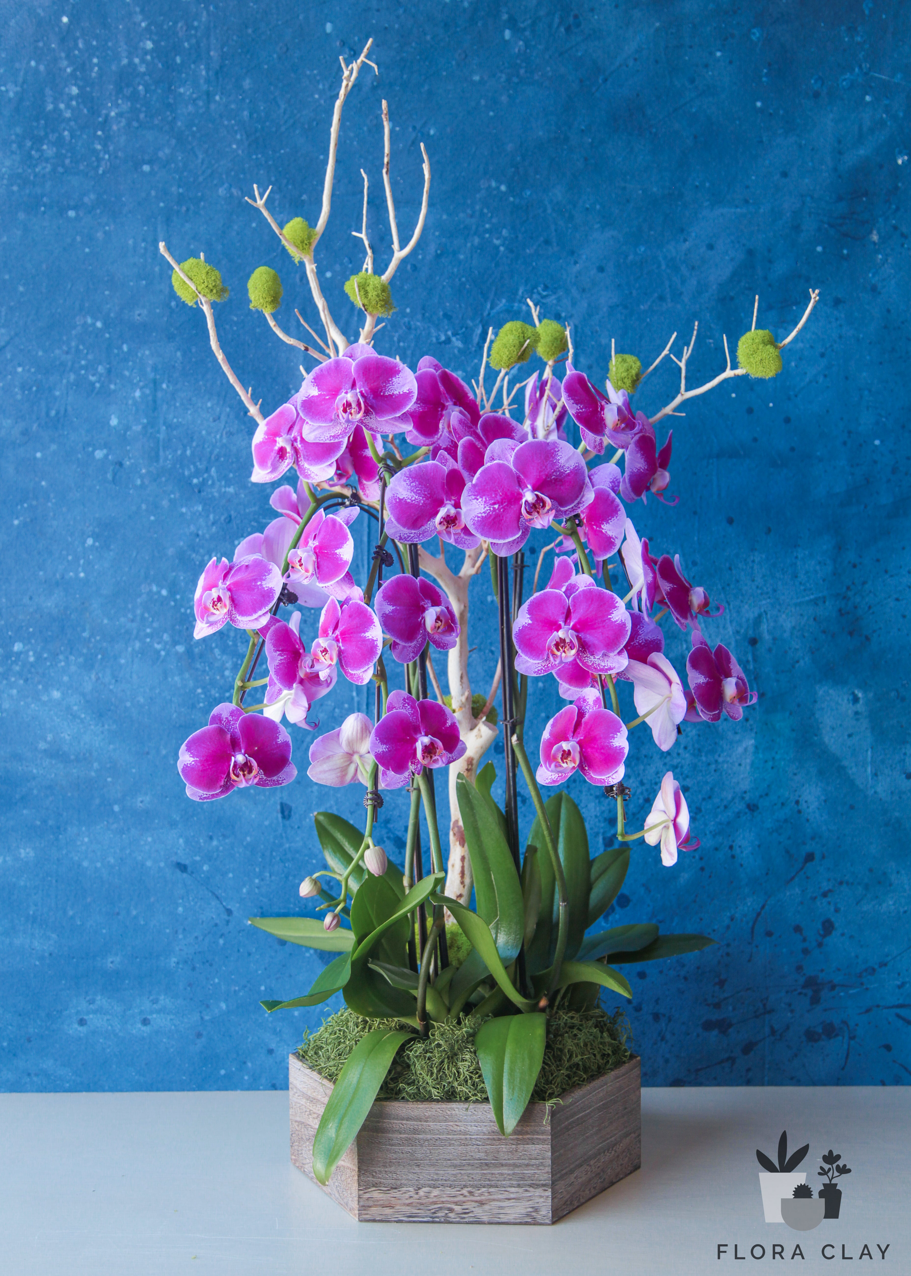 Grapevine-orchid-arrangement-floraclay-1.jpg