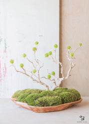Handmade Moss Tree