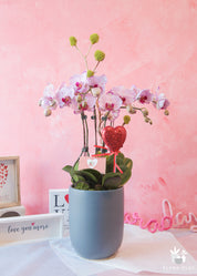 Honey Bunny Pink Orchid Arrangement