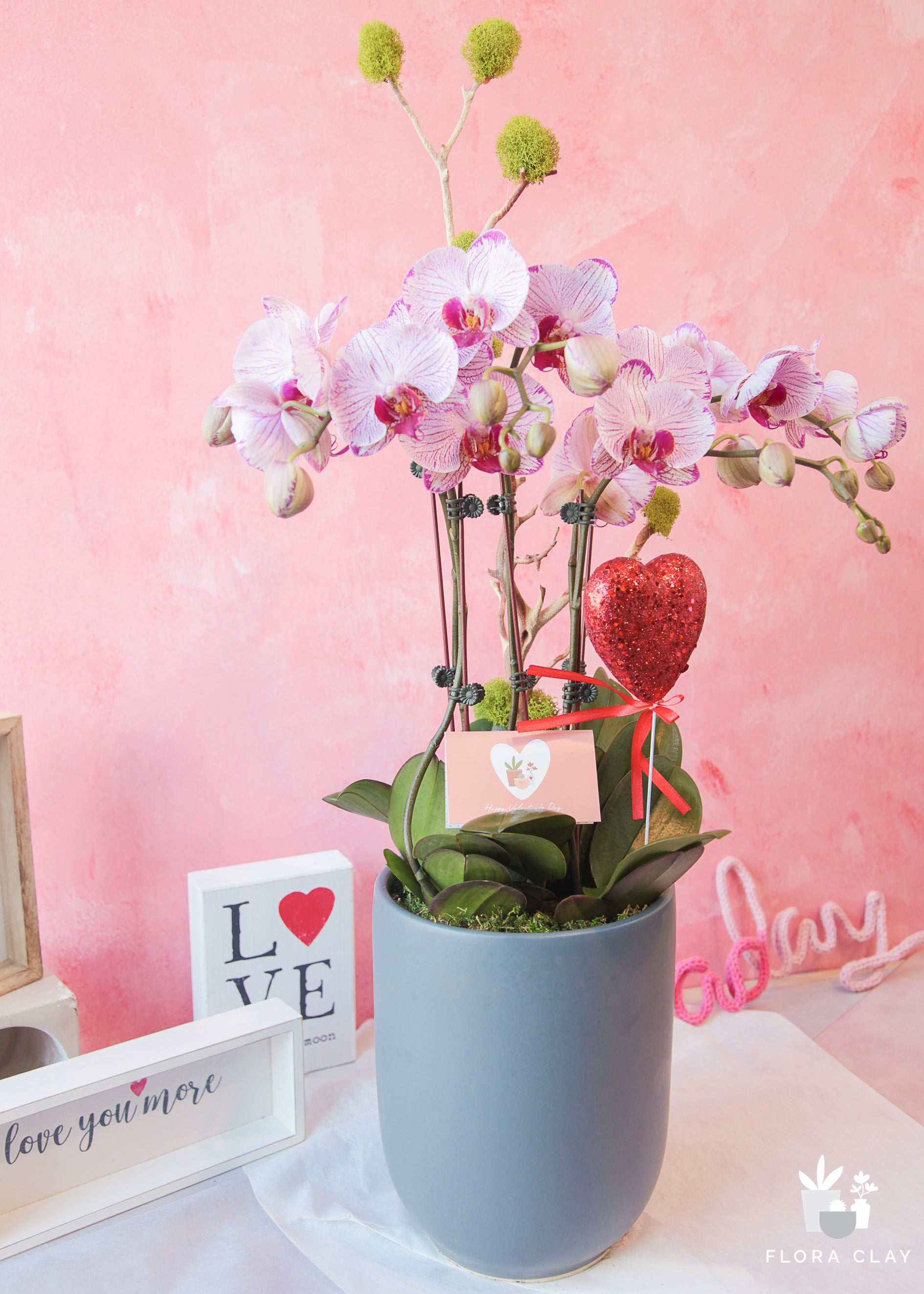 Honey Bunny Pink Orchid Arrangement