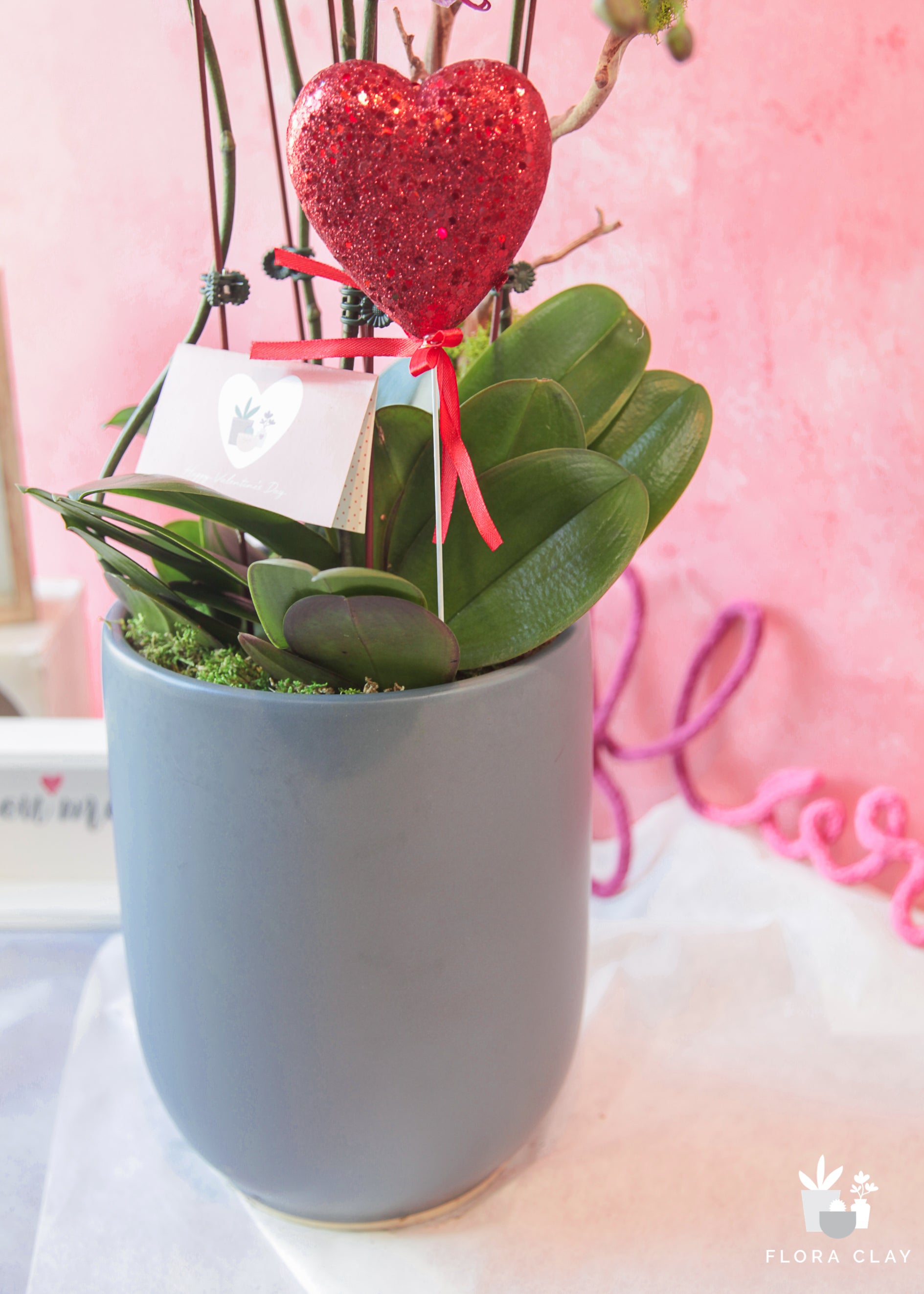 Honey Bunny Pink Orchid Arrangement