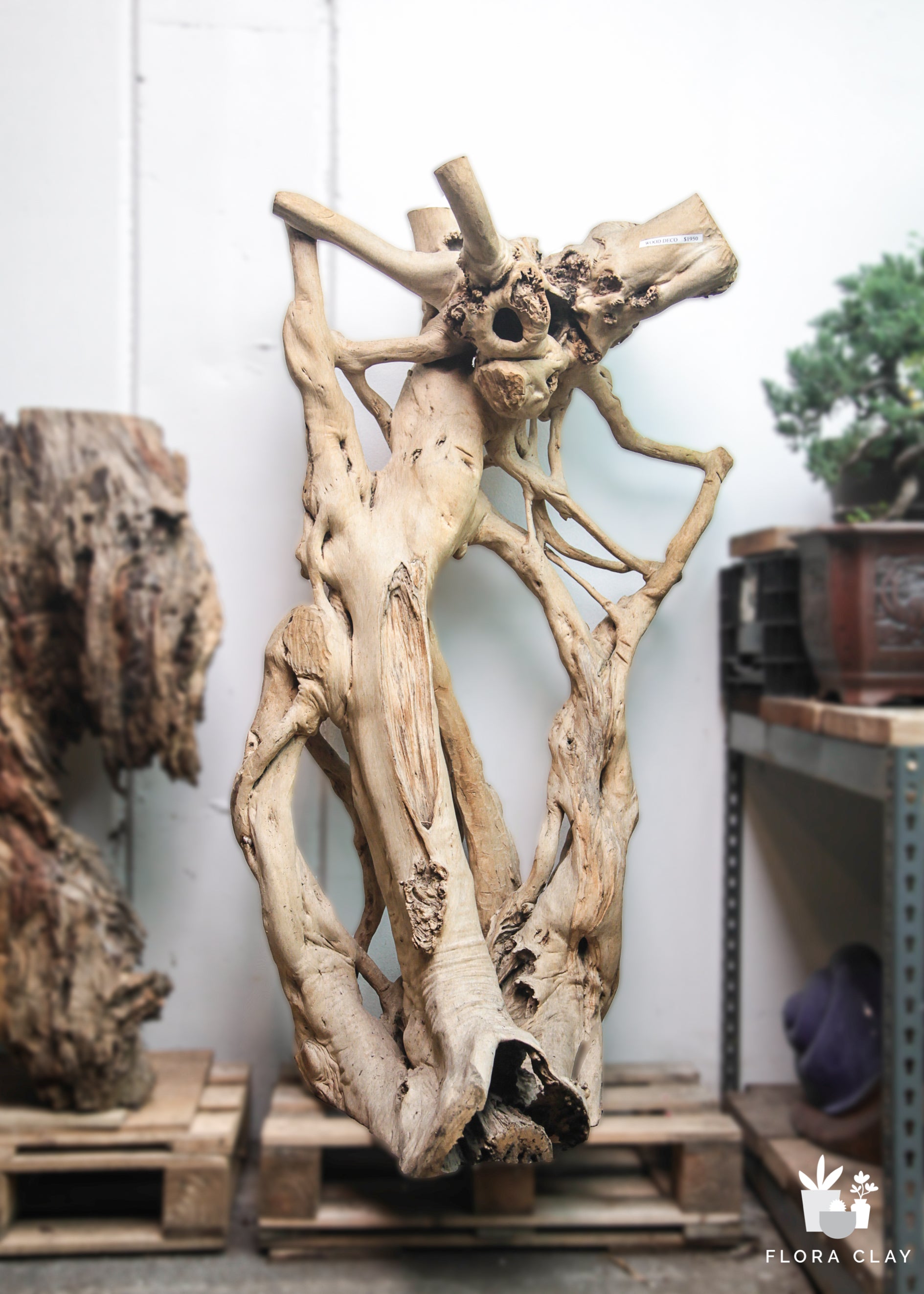 Natural Wood Sculpture 2