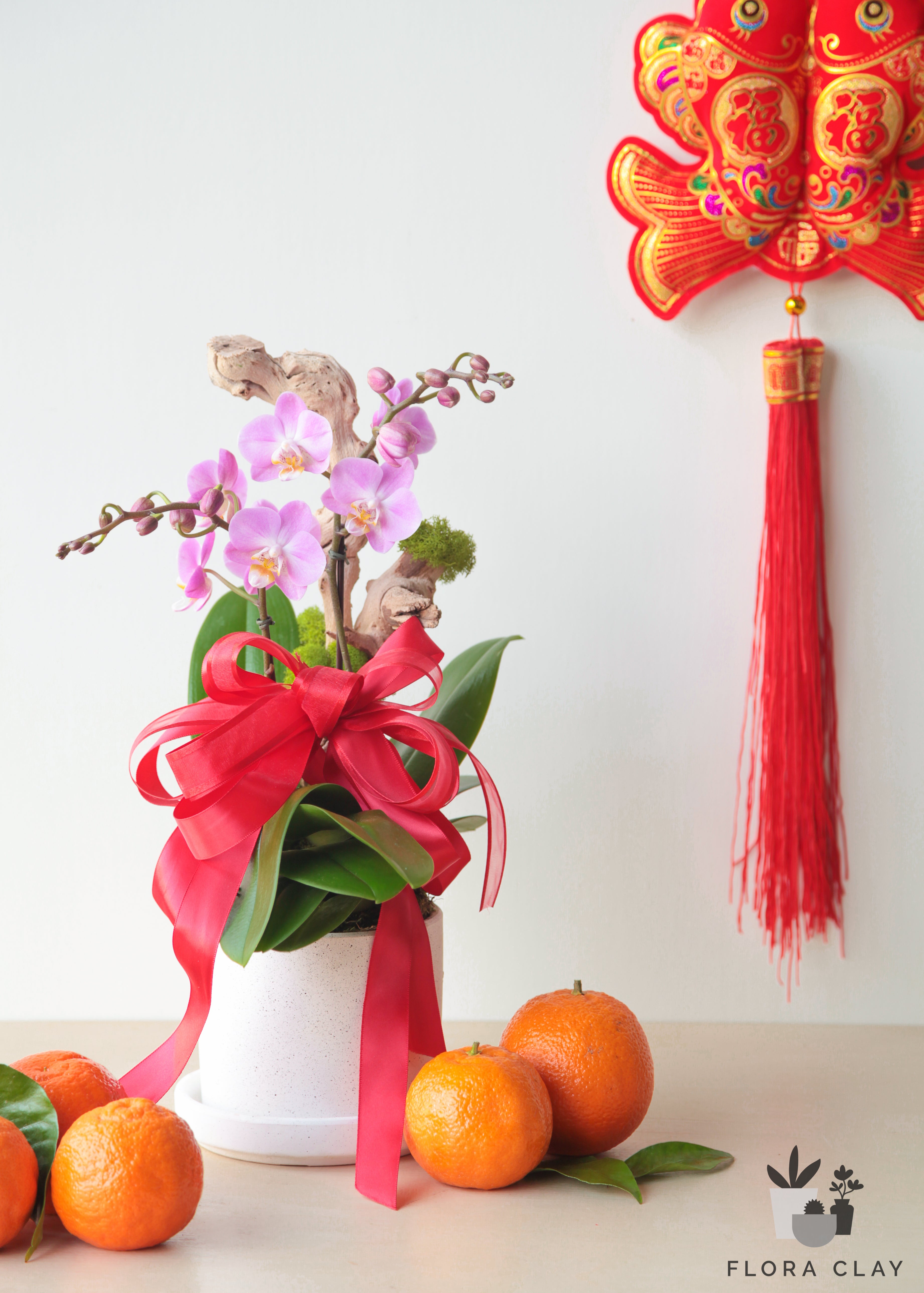 Joyful Year Orchid Arrangement in a White Pot