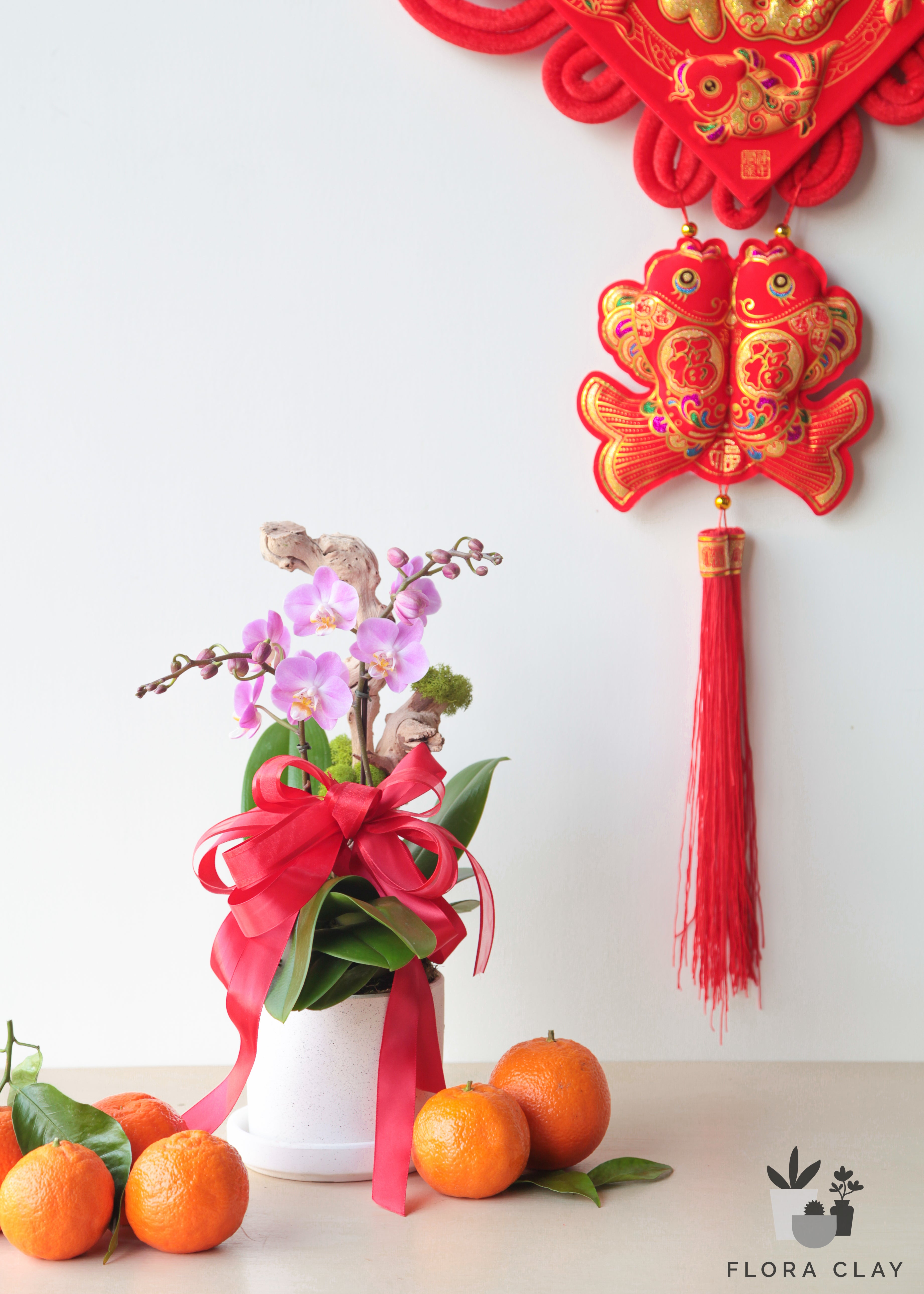 Joyful Year Orchid Arrangement in a White Pot