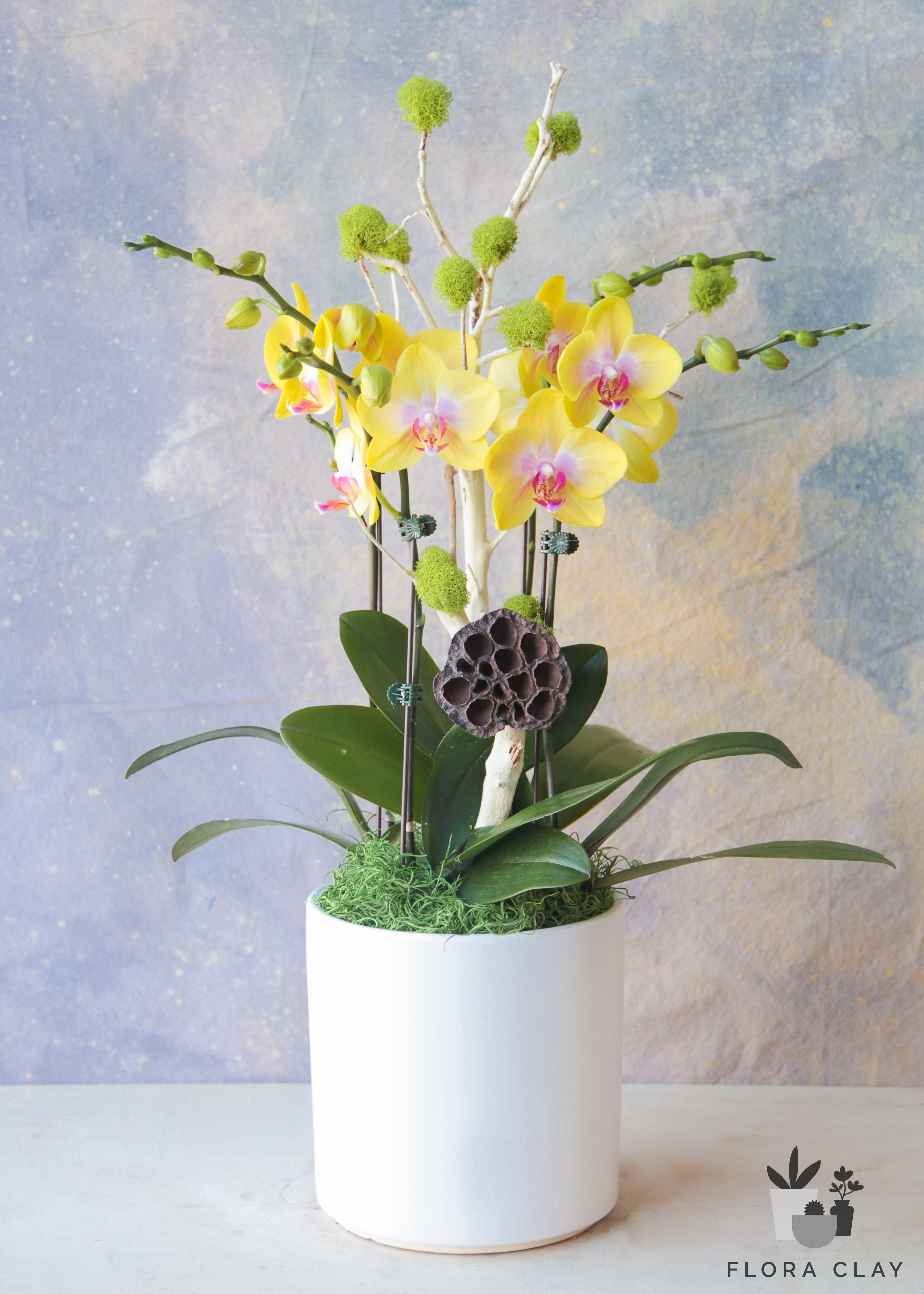 Lemon-Zest-Orchid-Arrangement-Floraclay1.jpg