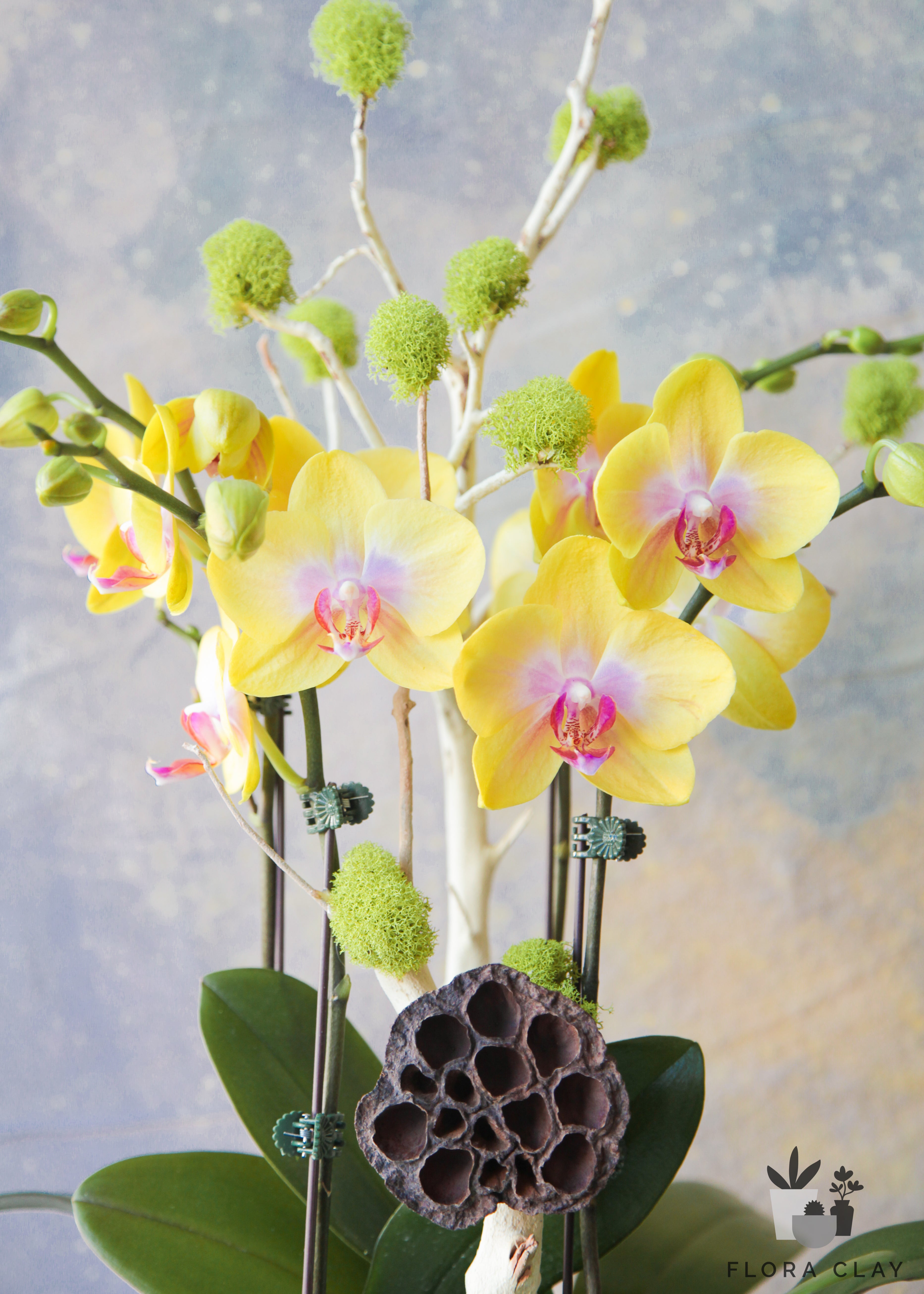 Lemon-Zest-Orchid-Arrangement-Floraclay5.jpg