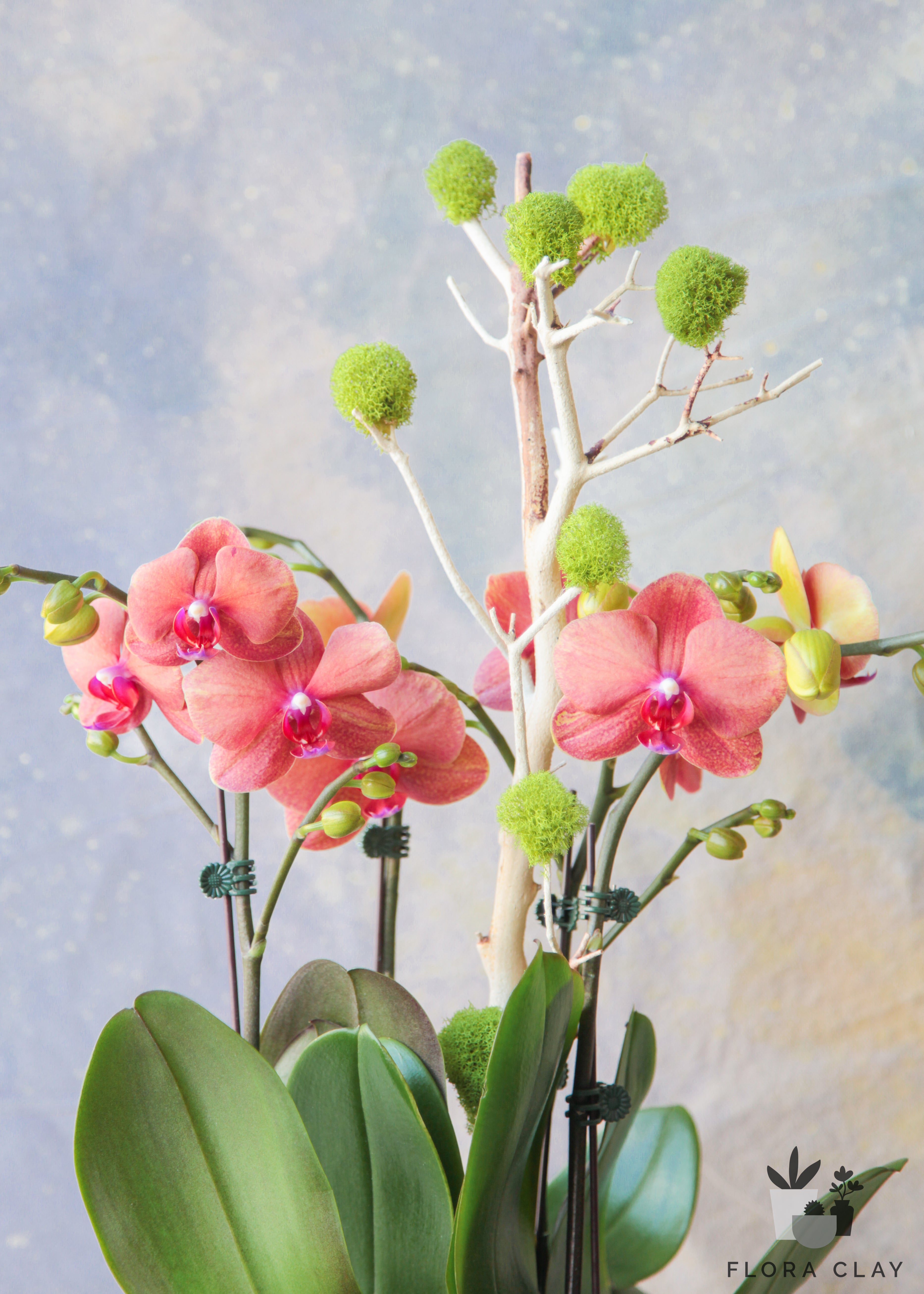 Love-Dearly-Orchid-Arrangement-Floraclay-2.jpg