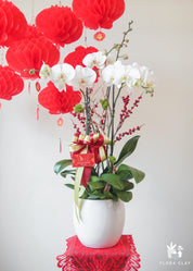 A decorative floral arrangement featuring white and red flowers, with a prominent orchid, tulips, and other blooms, presented in a white pot on a red lace placemat against a white wall.