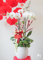 Lucky One Orchid Arrangement in a White Pot