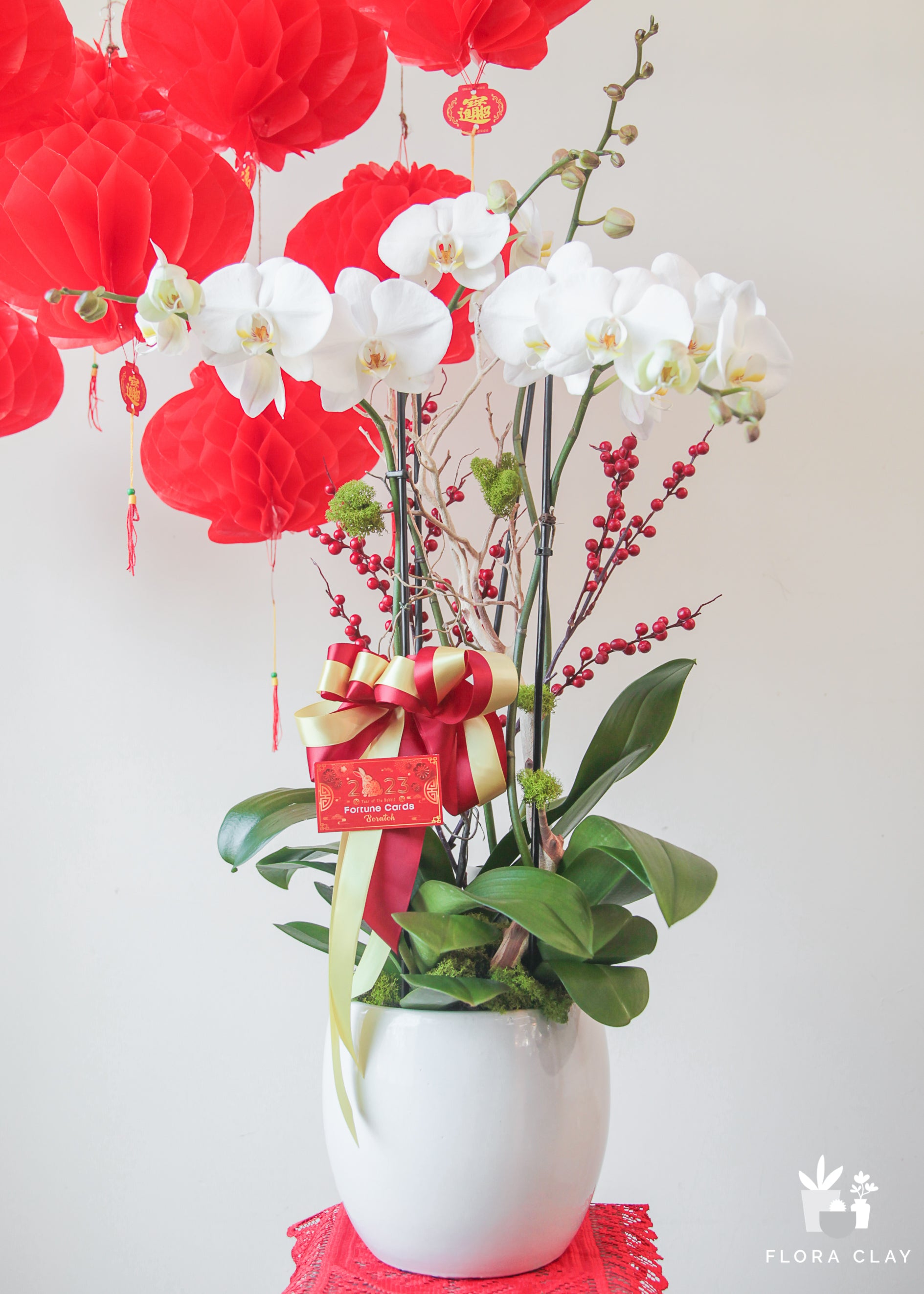 Lucky One Orchid Arrangement in a White Pot