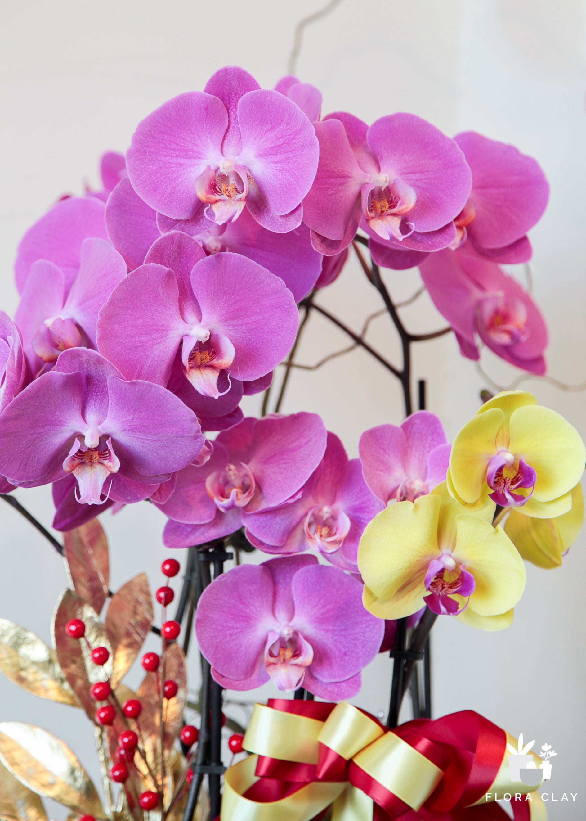 Lunar New Year Orchid in Gold Pot - Blessings