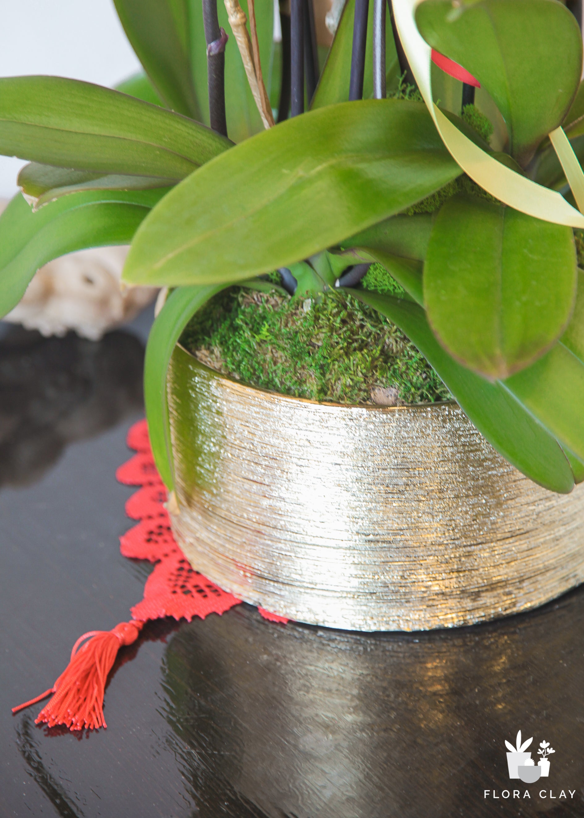 Lunar New Year Orchid in Gold Pot - Blessings