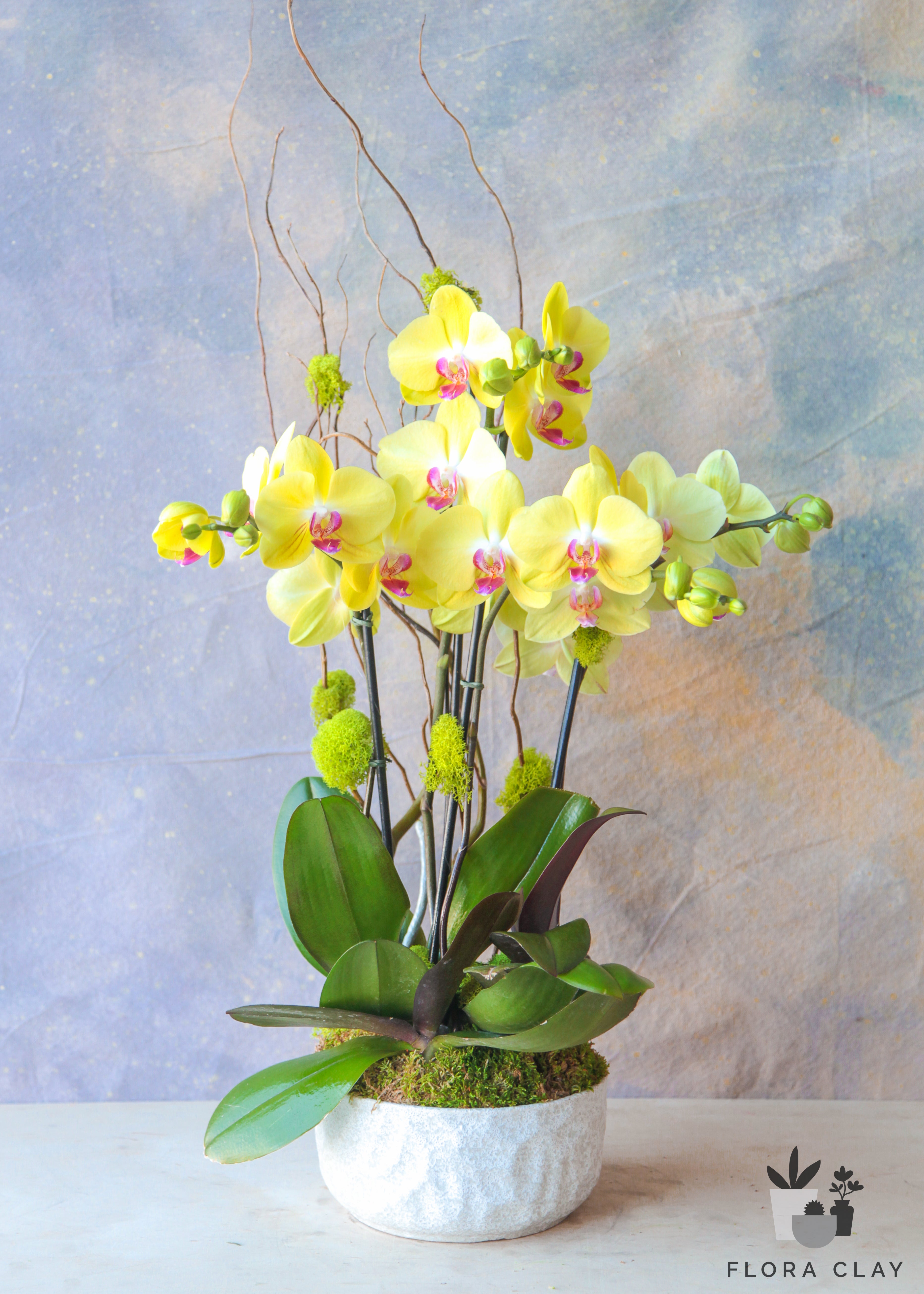 Macaroon-Orchid-Arrangement-Floraclay1.jpg