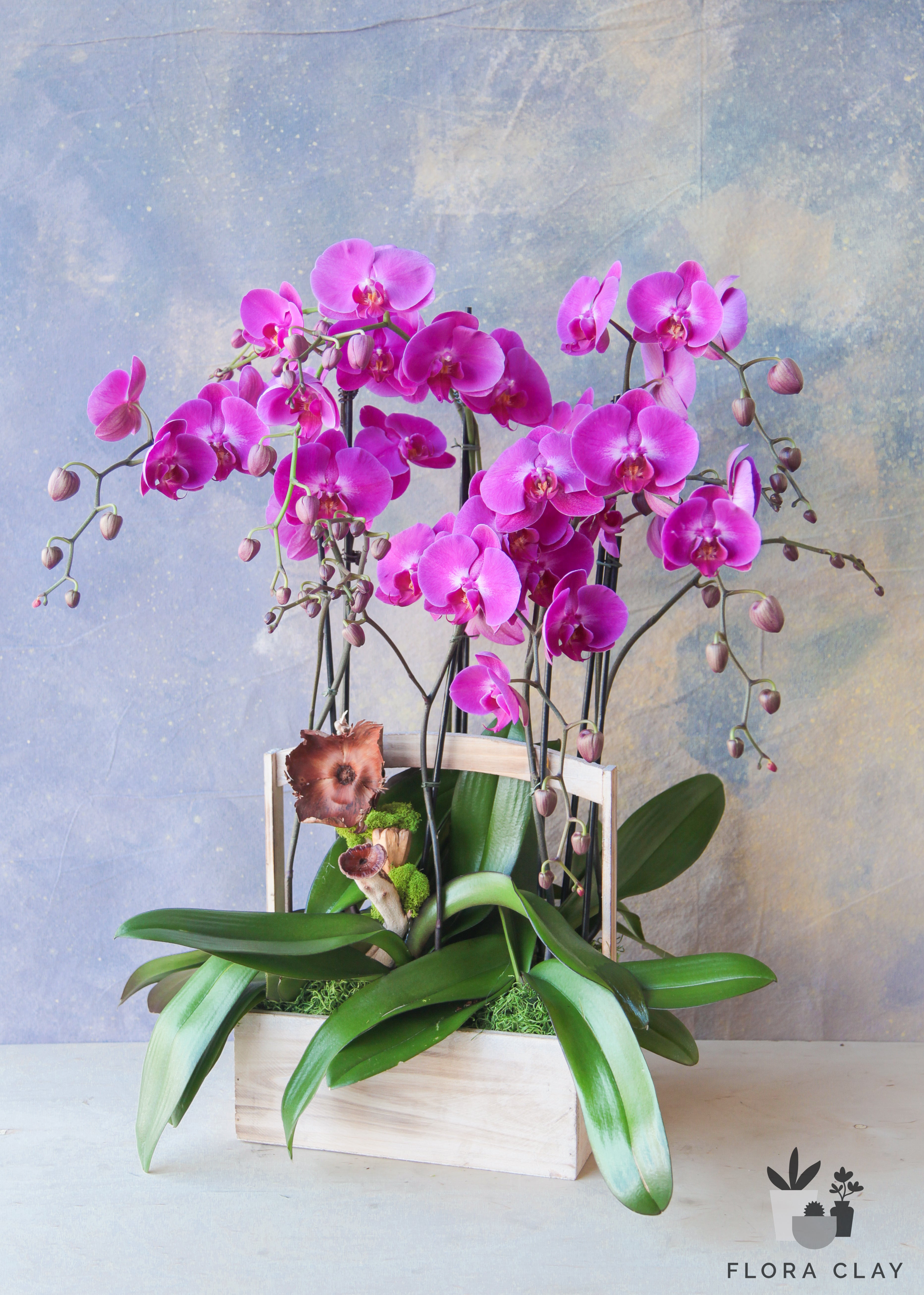 Magenta-Orchid-Arrangement-Floraclay1.jpg