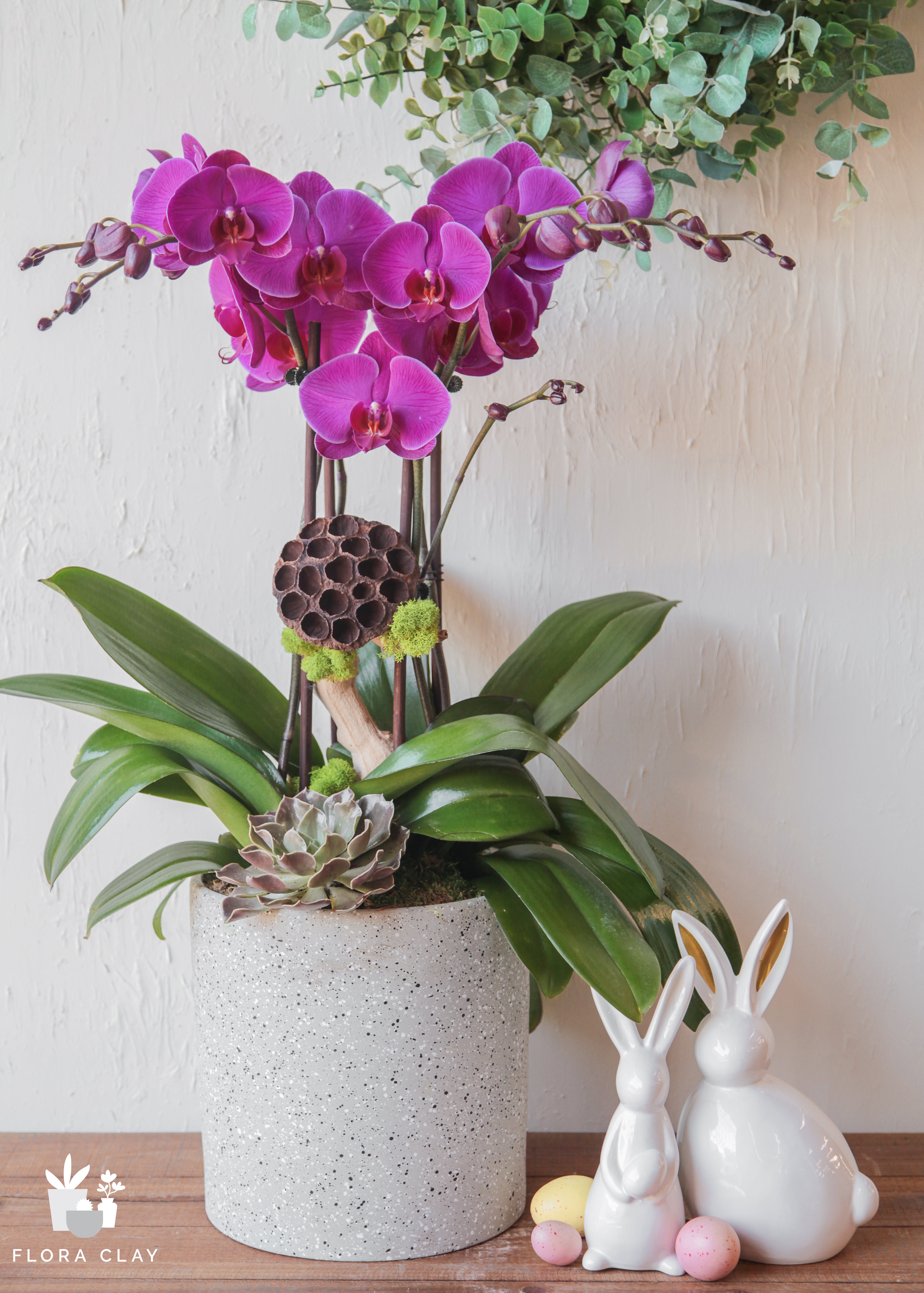Malbec Purple Orchid Arrangement