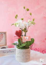 A white orchid arrangement in a wicker basket with a green tag that reads 'love you more' on it, placed against a pink background.
