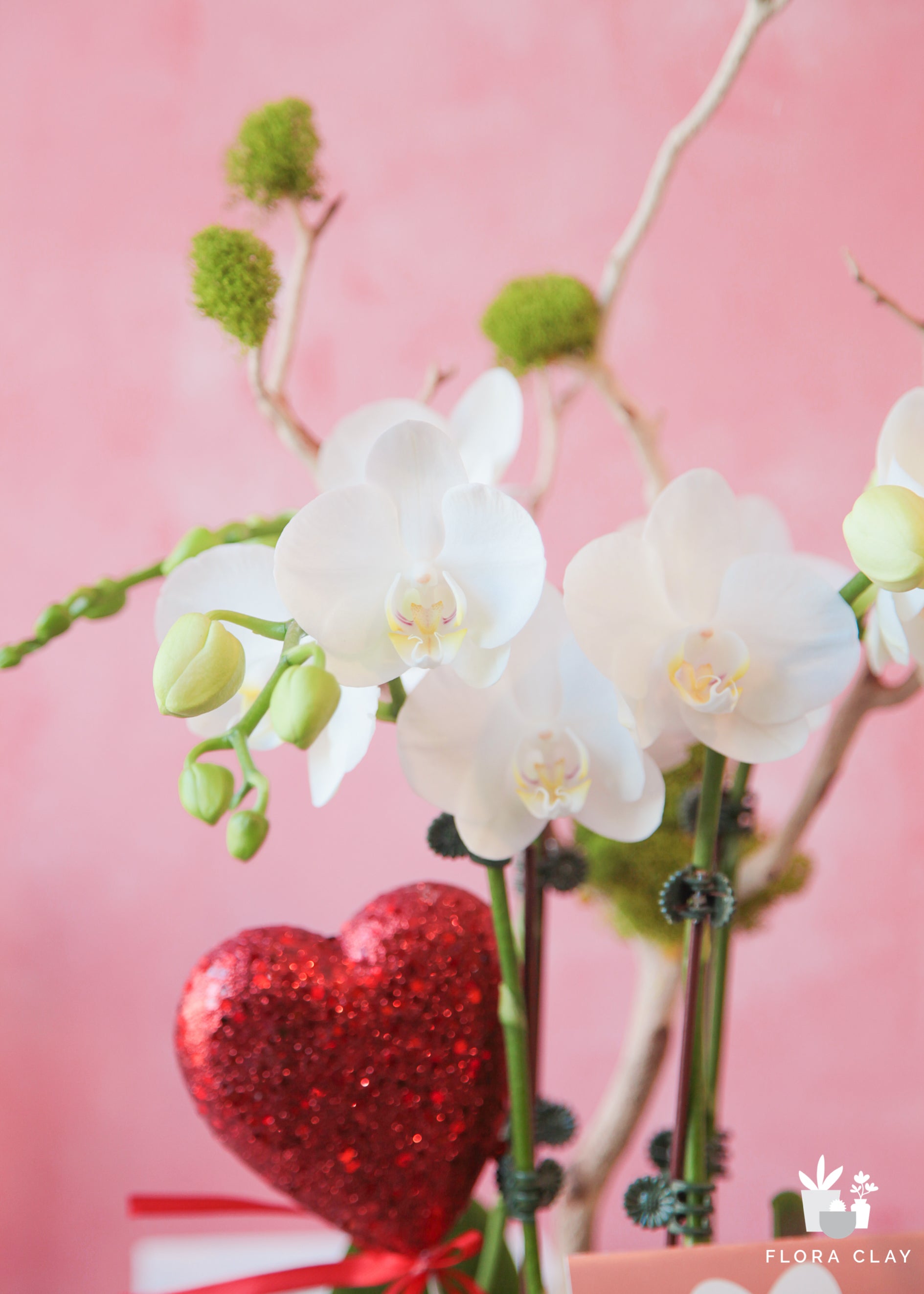 Marshmallow White Orchid Arrangement