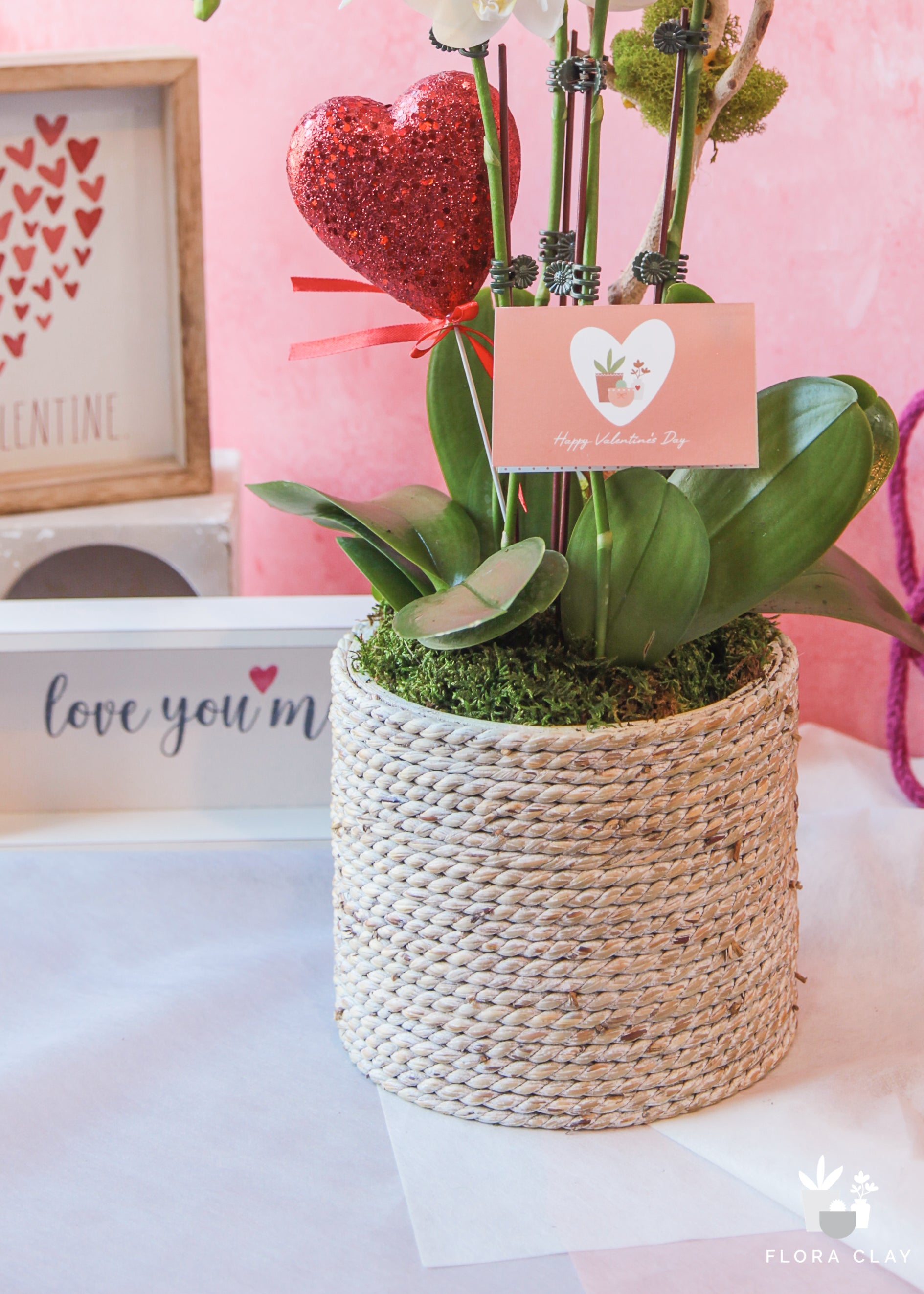 Marshmallow White Orchid Arrangement