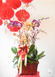 Prosperity Orchid Arrangement in a Brown Pot