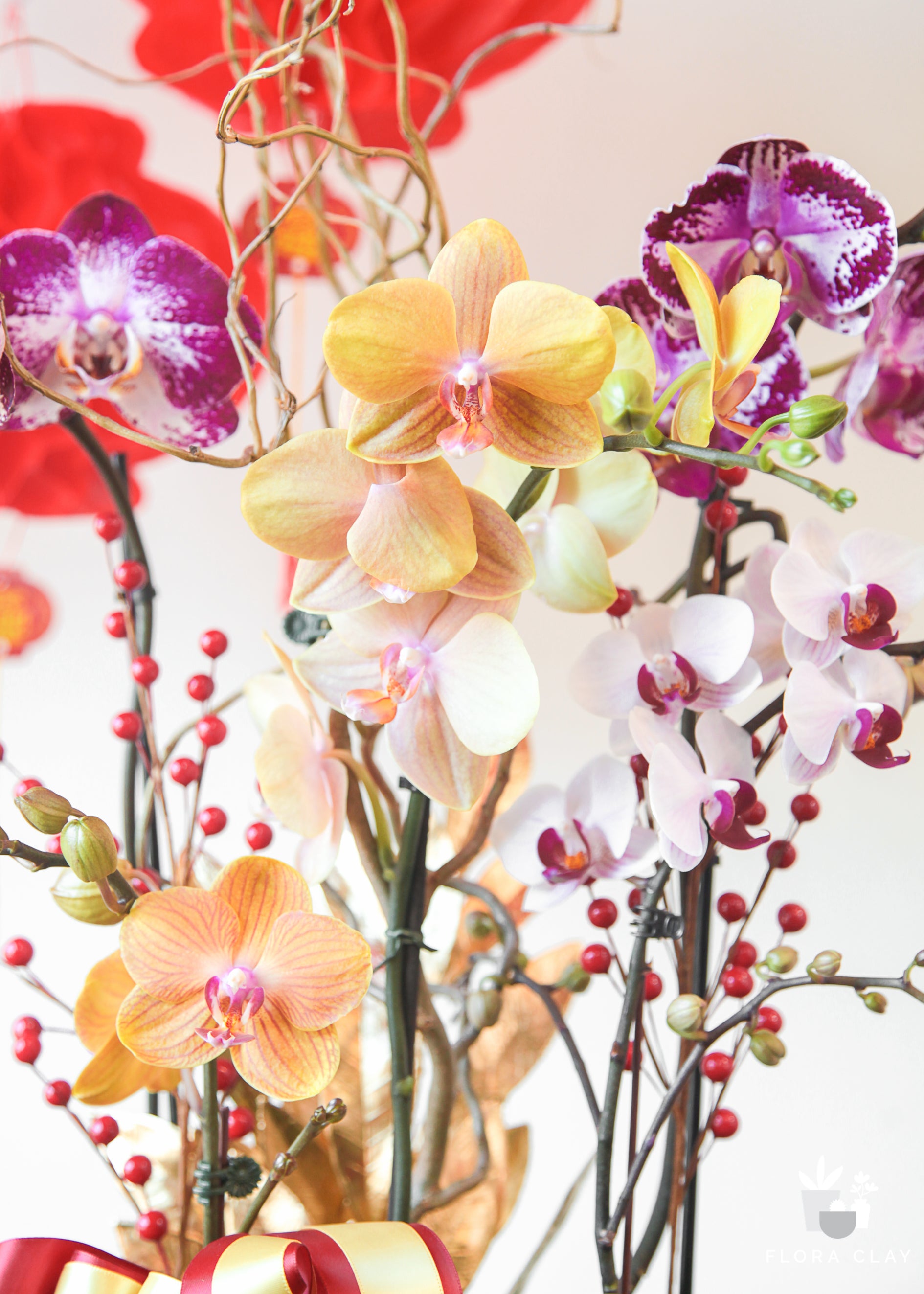 Prosperity Orchid Arrangement in a Brown Pot