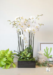 A white orchid arrangement in a black rectangular planter, displayed in a bright setting with various decorative items.