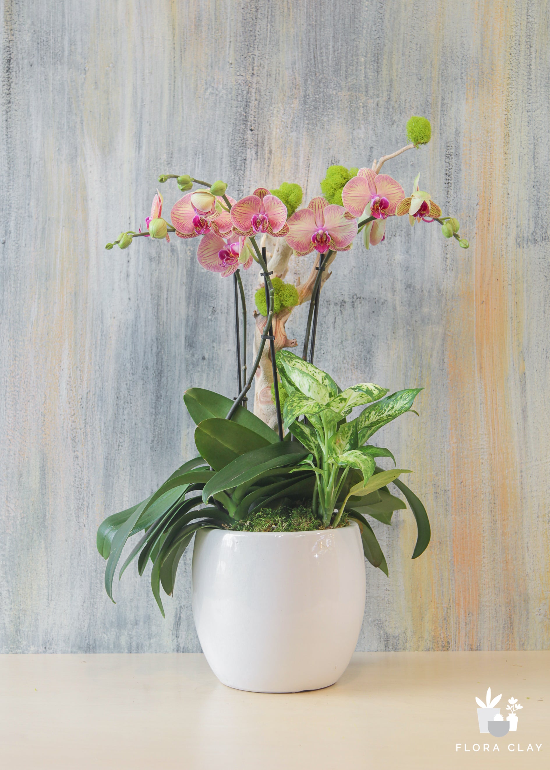 A floral arrangement with pink and white flowers in a white pot against a grey background.