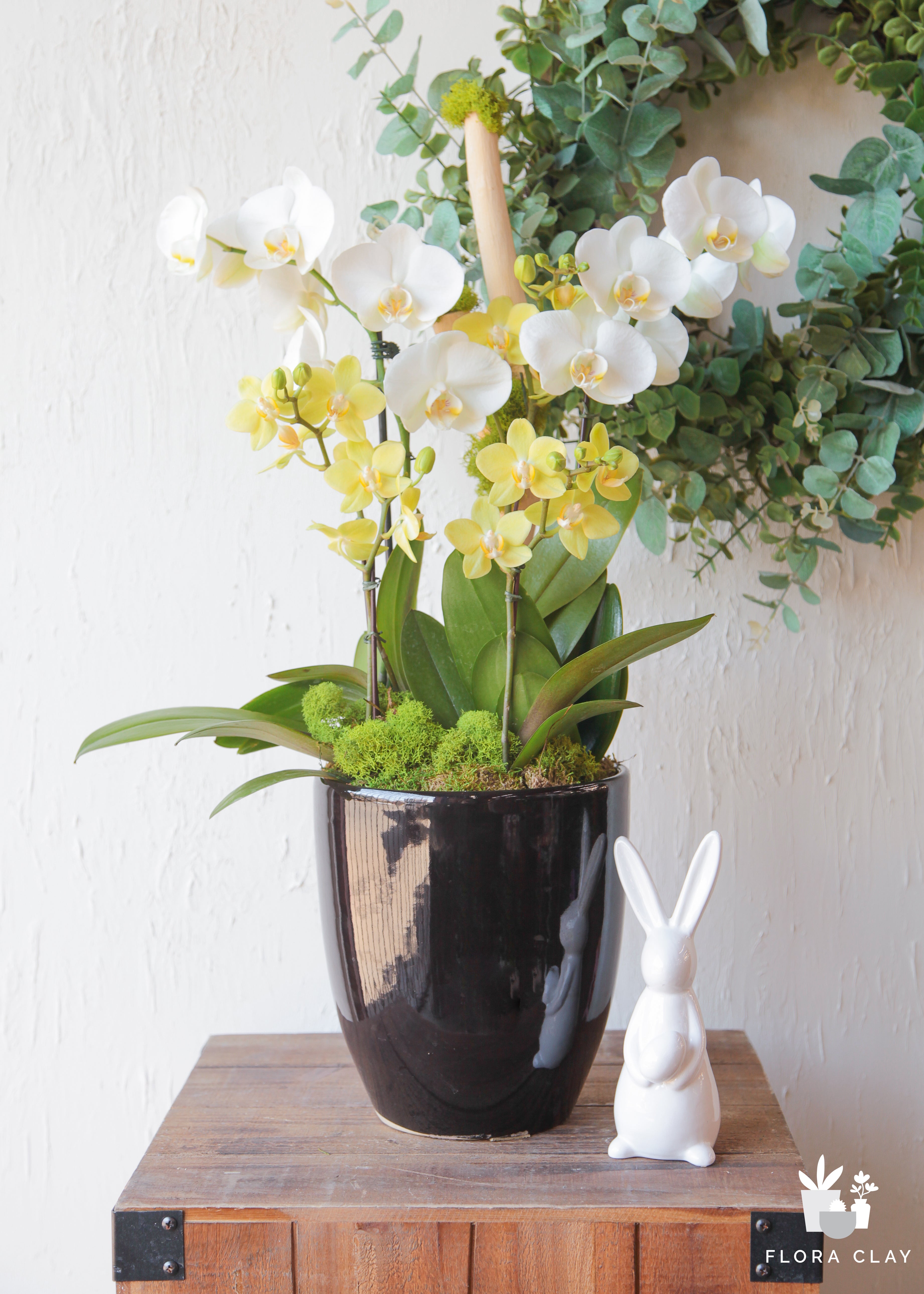 Spring Lemonade Orchid Arrangement