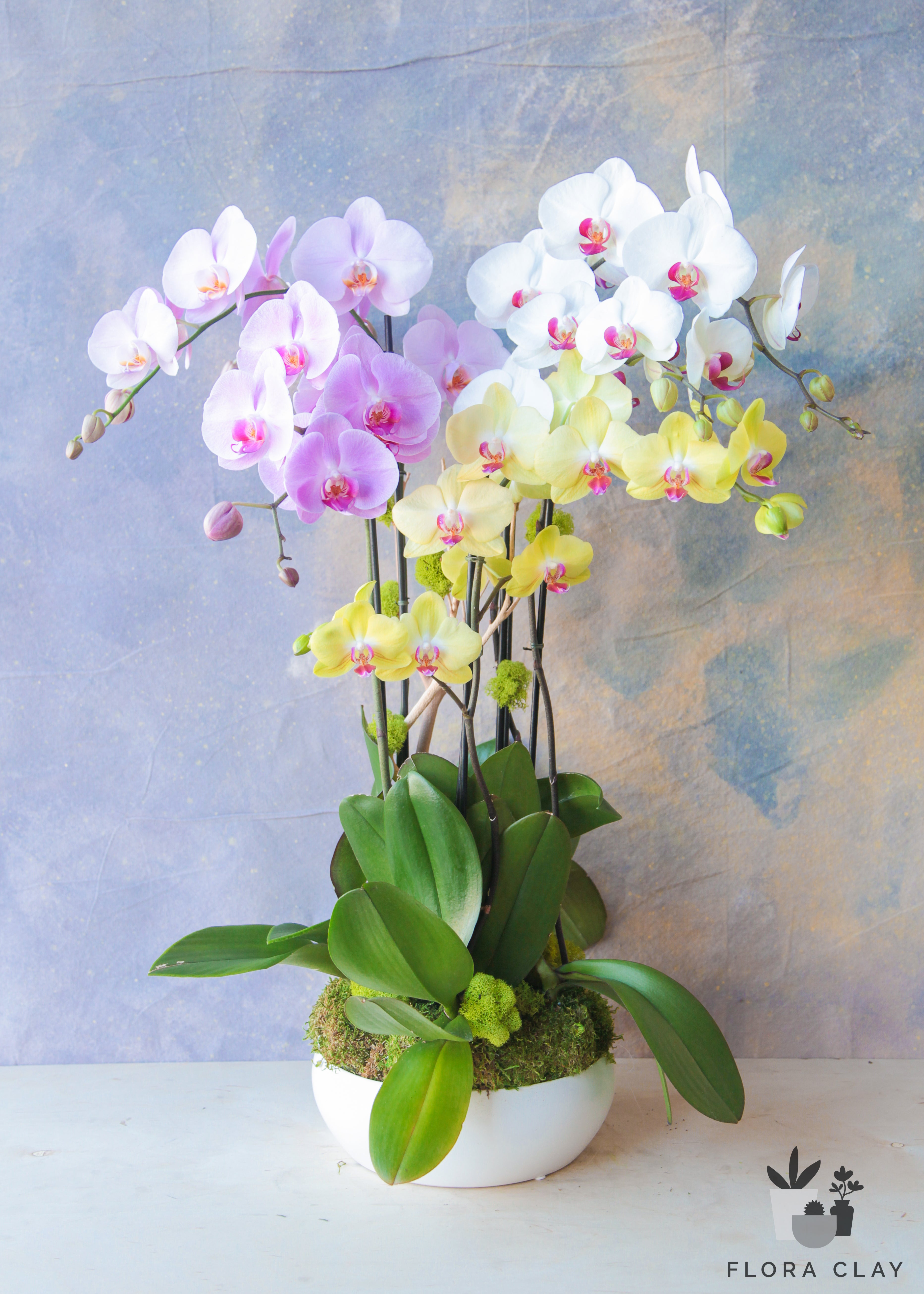 Summer-Trend-Orchid-Arrangement-Floraclay1.jpg