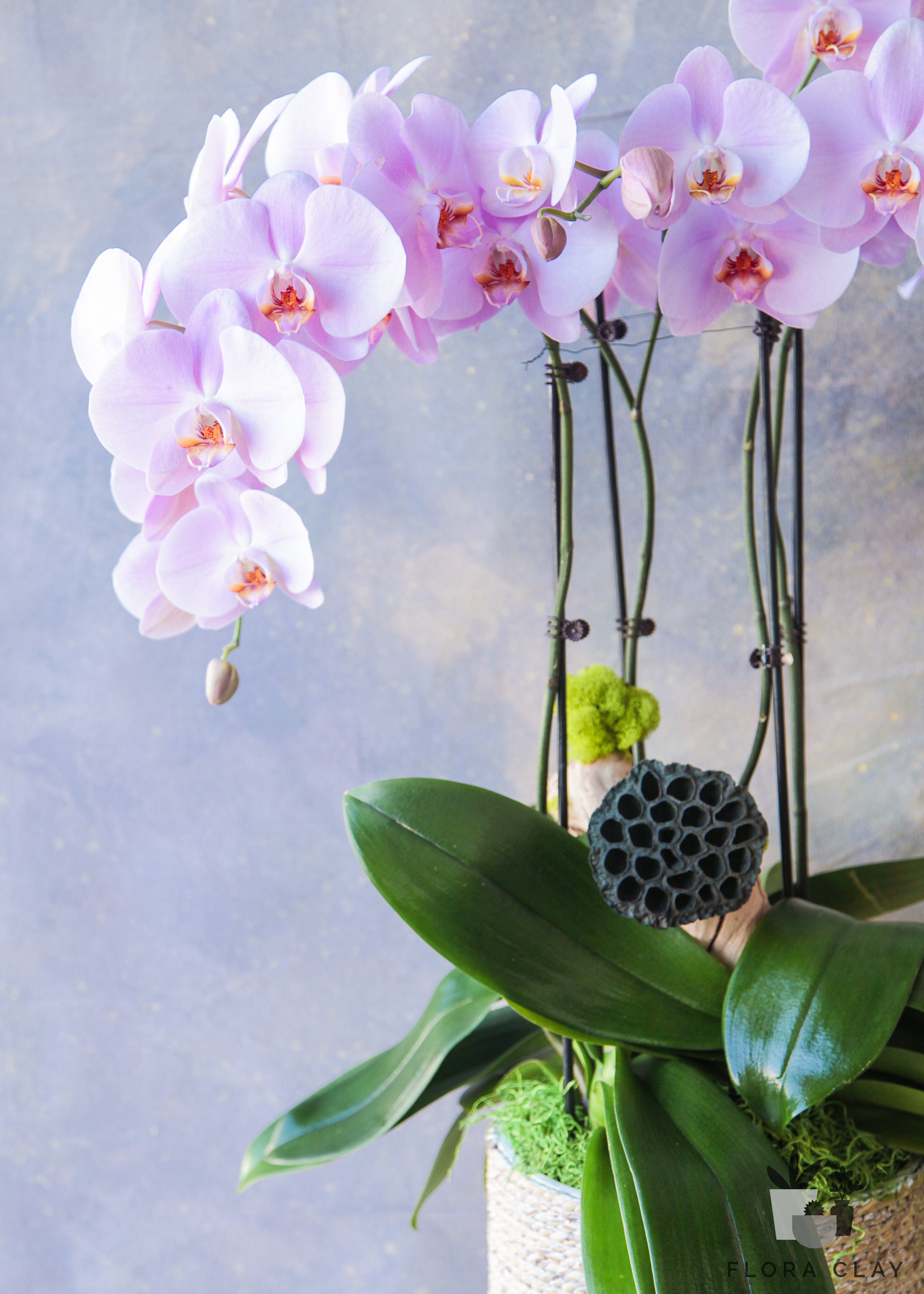 Tatiana-Orchid-Arrangement-Floraclay3.jpg