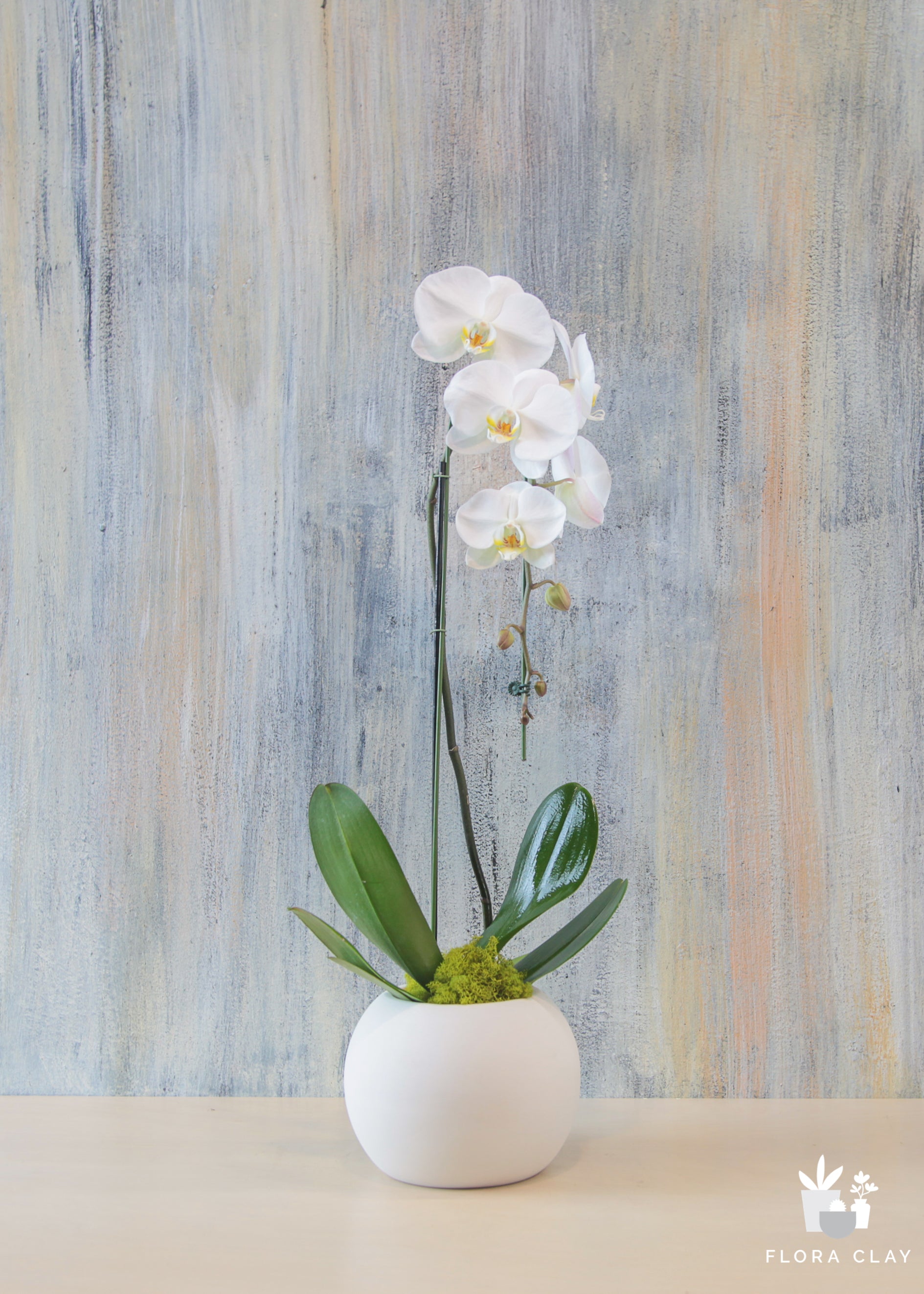 white cascading orchid