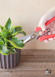 All Purpose Gardening Scissors