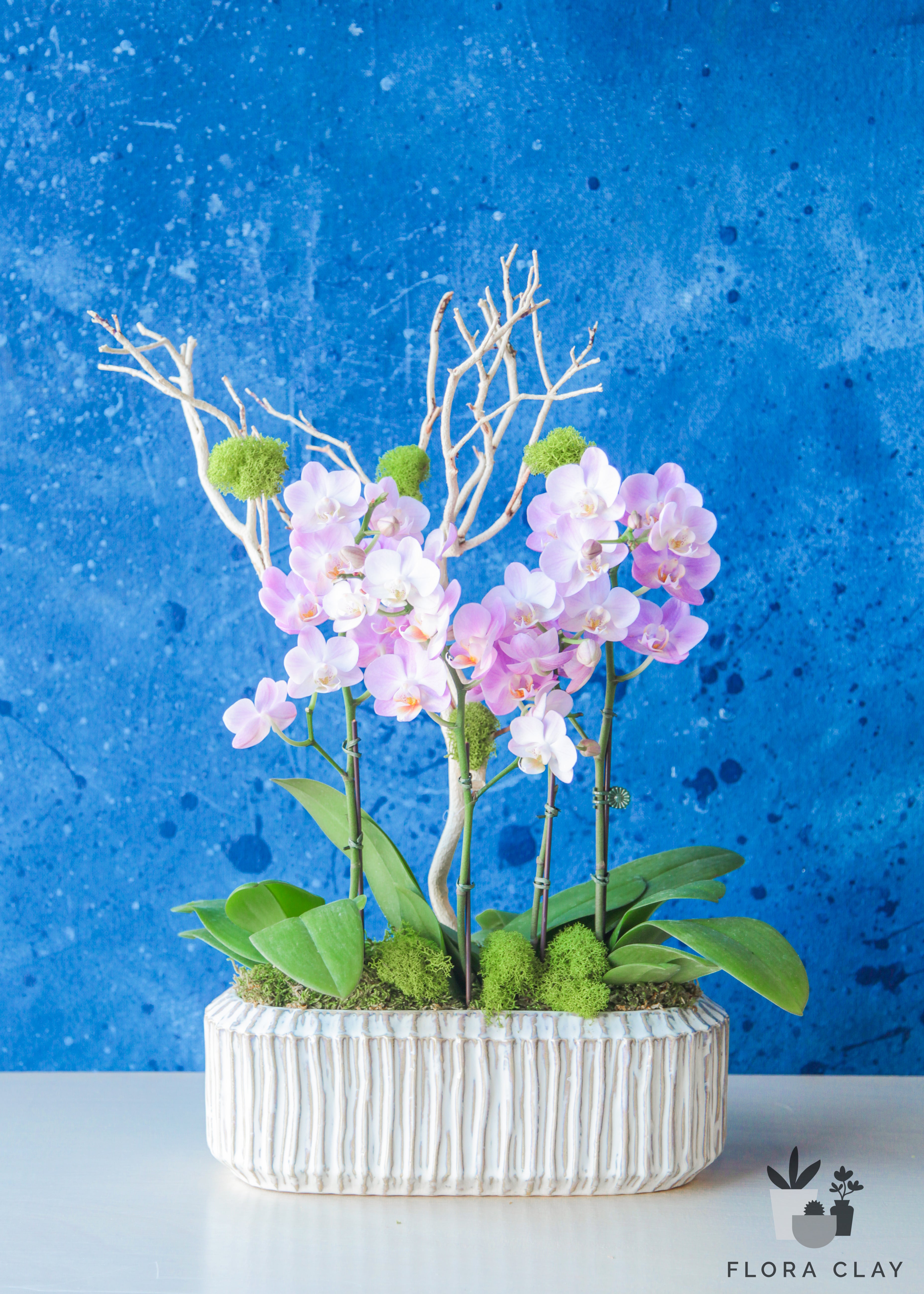 annie-orchid-arrangement-floraclay-1.jpg