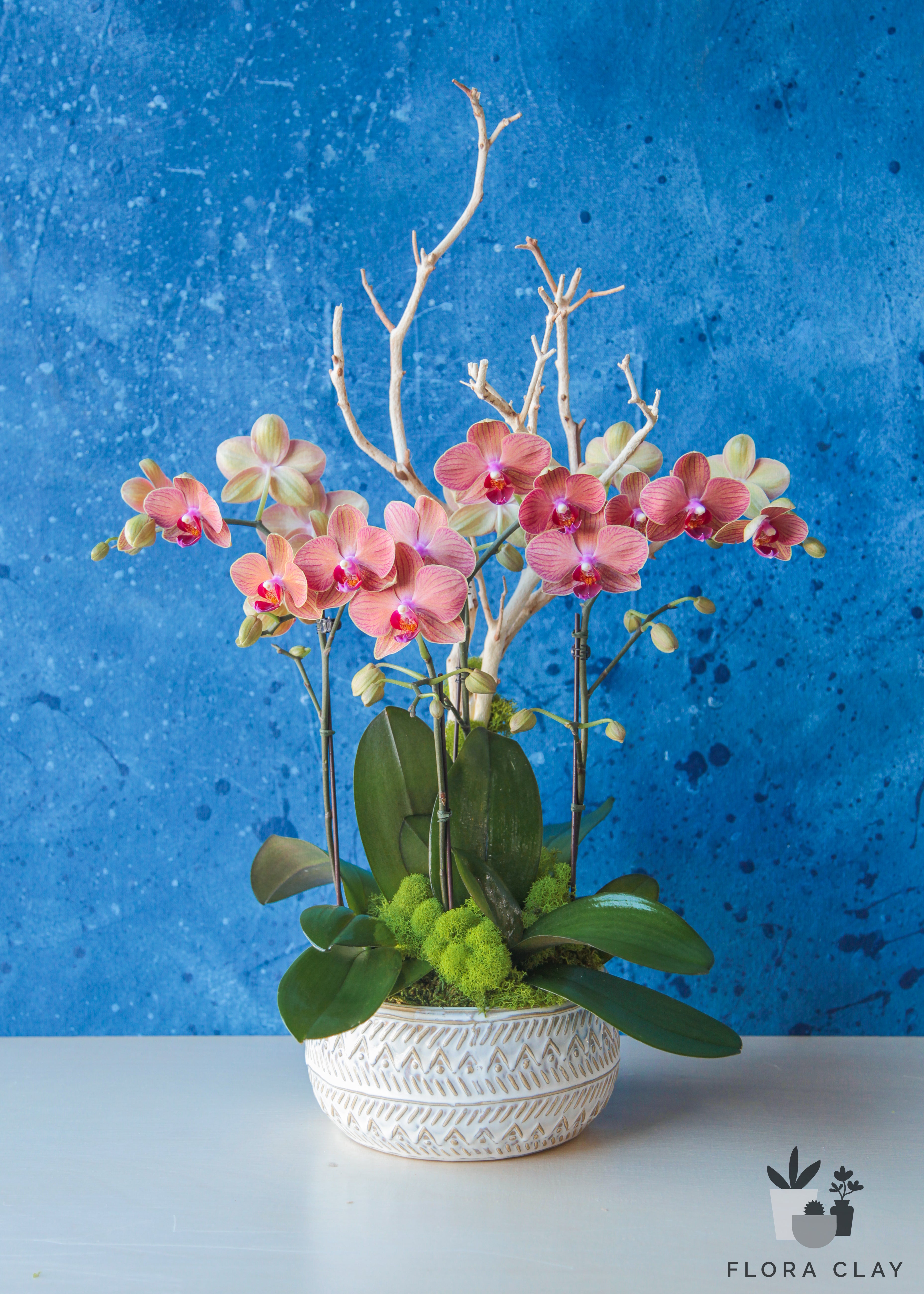 antidote-orchid-arrangement-floraclay-1.jpg