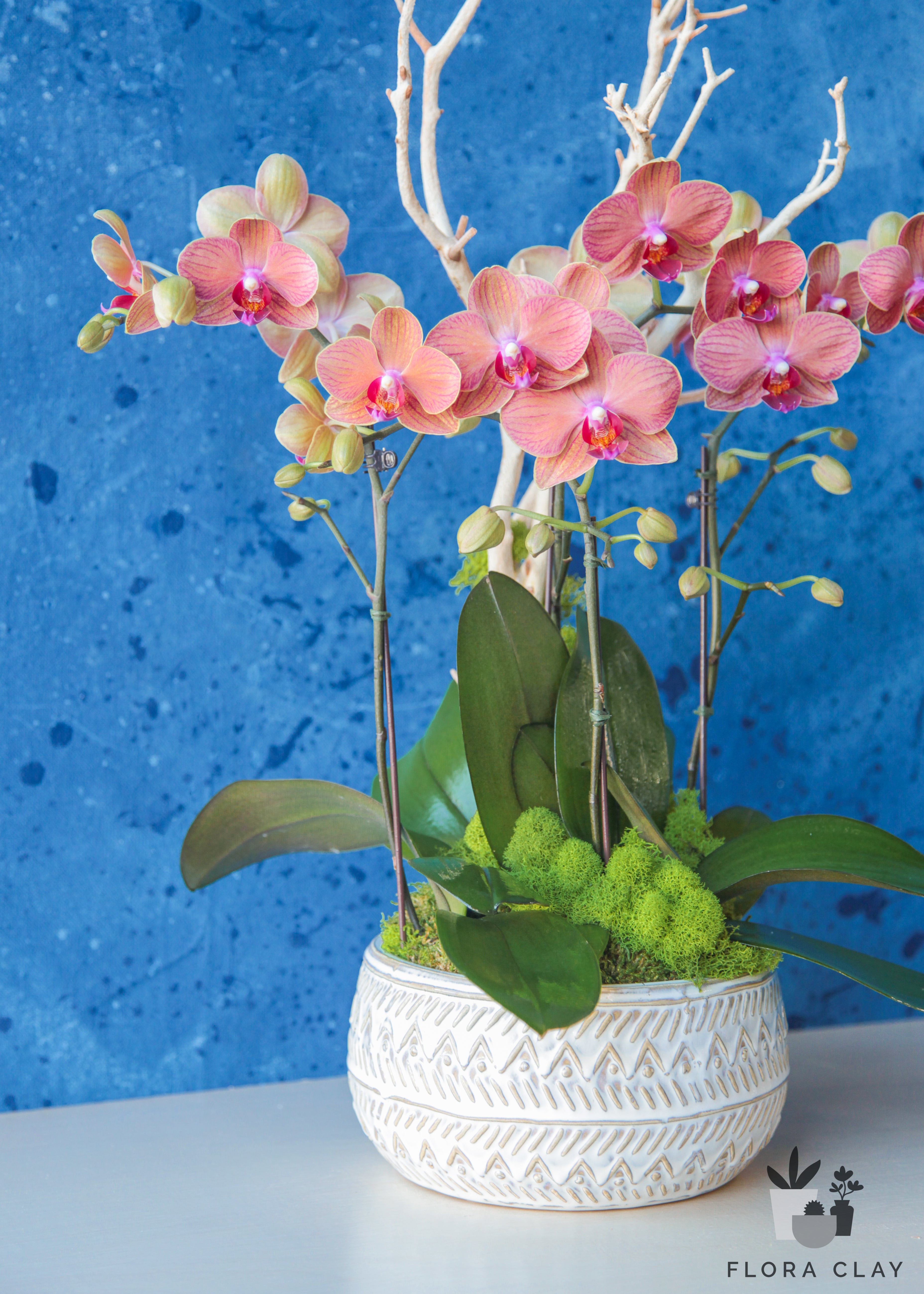 antidote-orchid-arrangement-floraclay-4.jpg