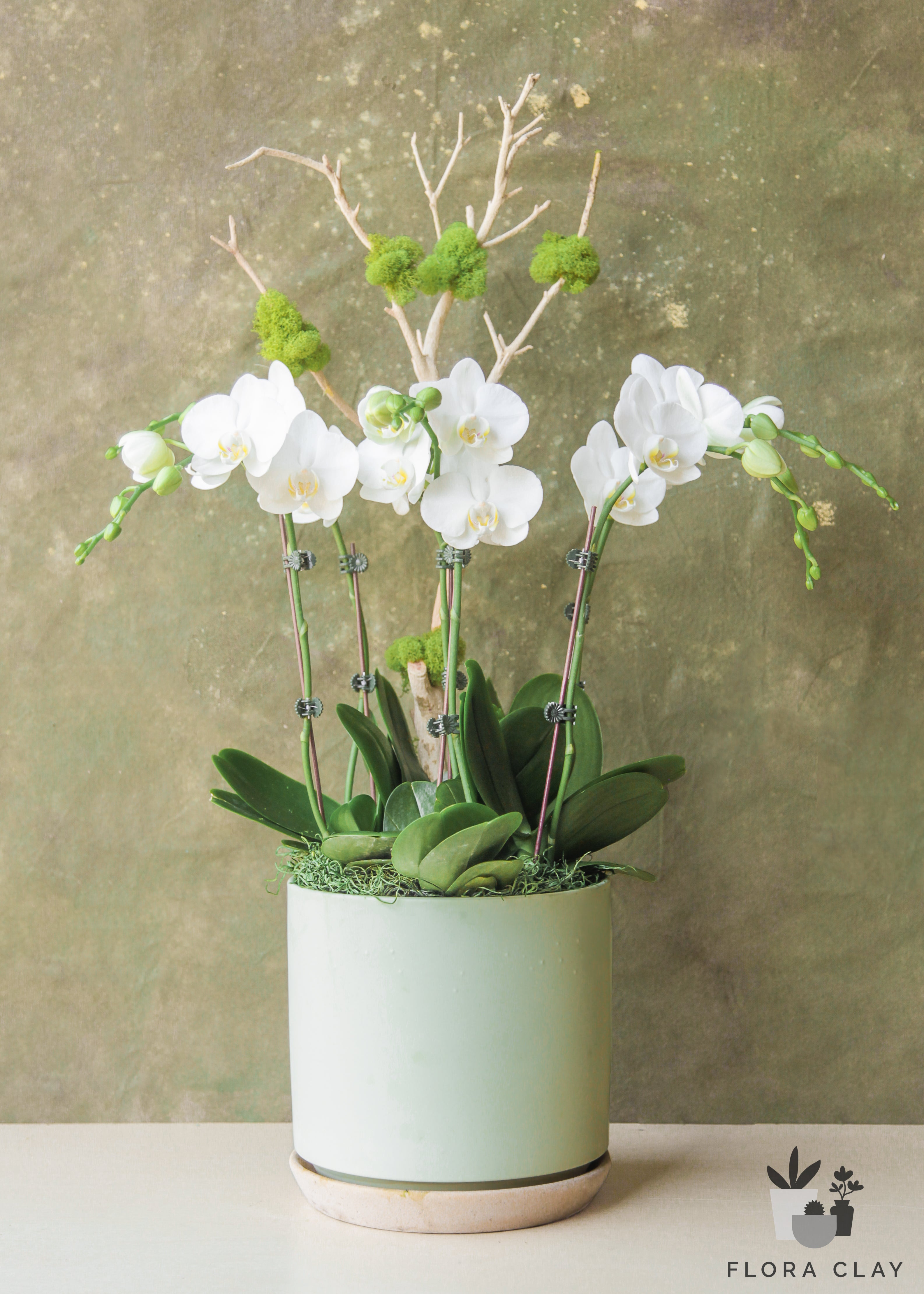 apple-mint-orchid-arrangement-floraclay-1.jpg