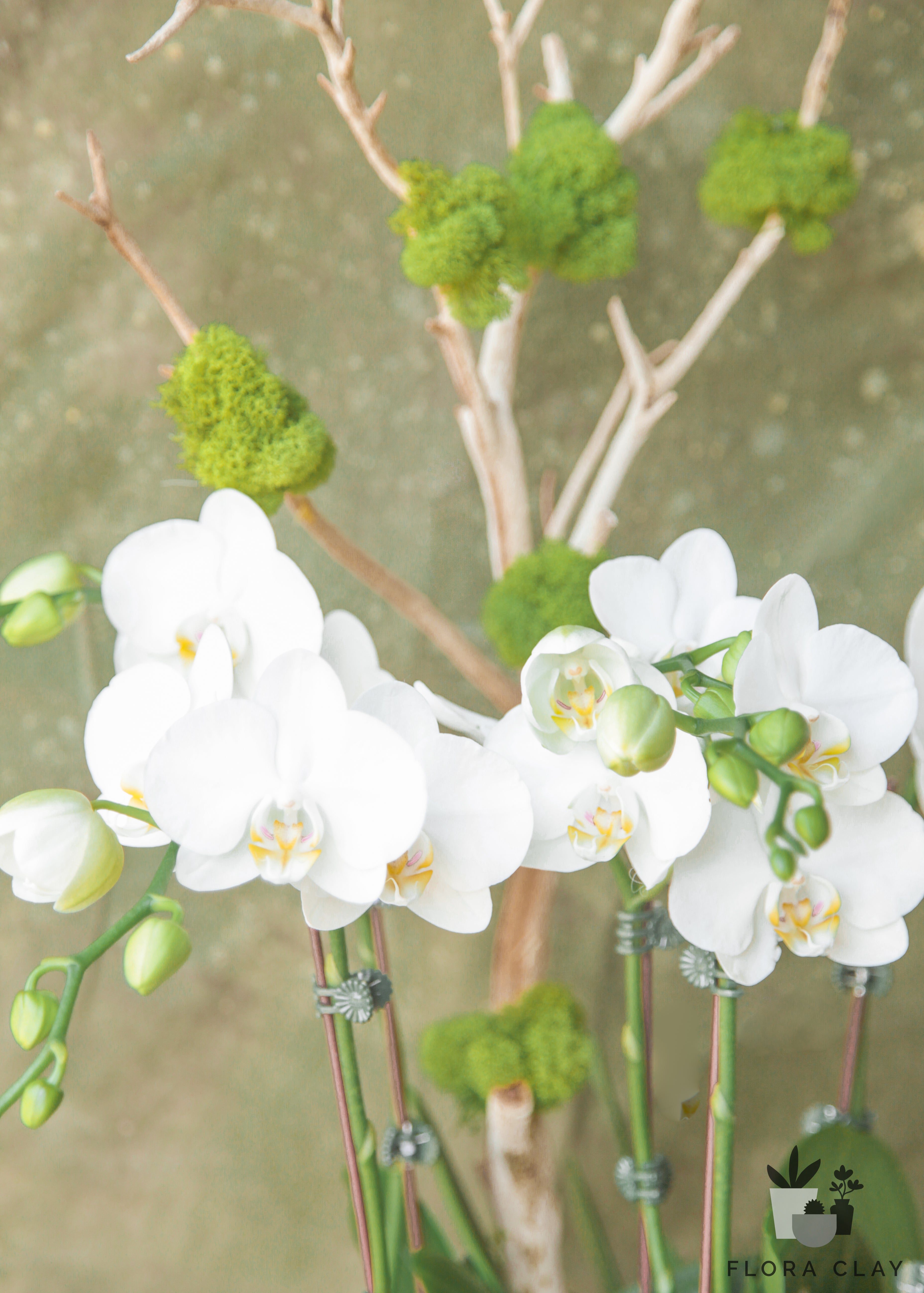 apple-mint-orchid-arrangement-floraclay-3.jpg